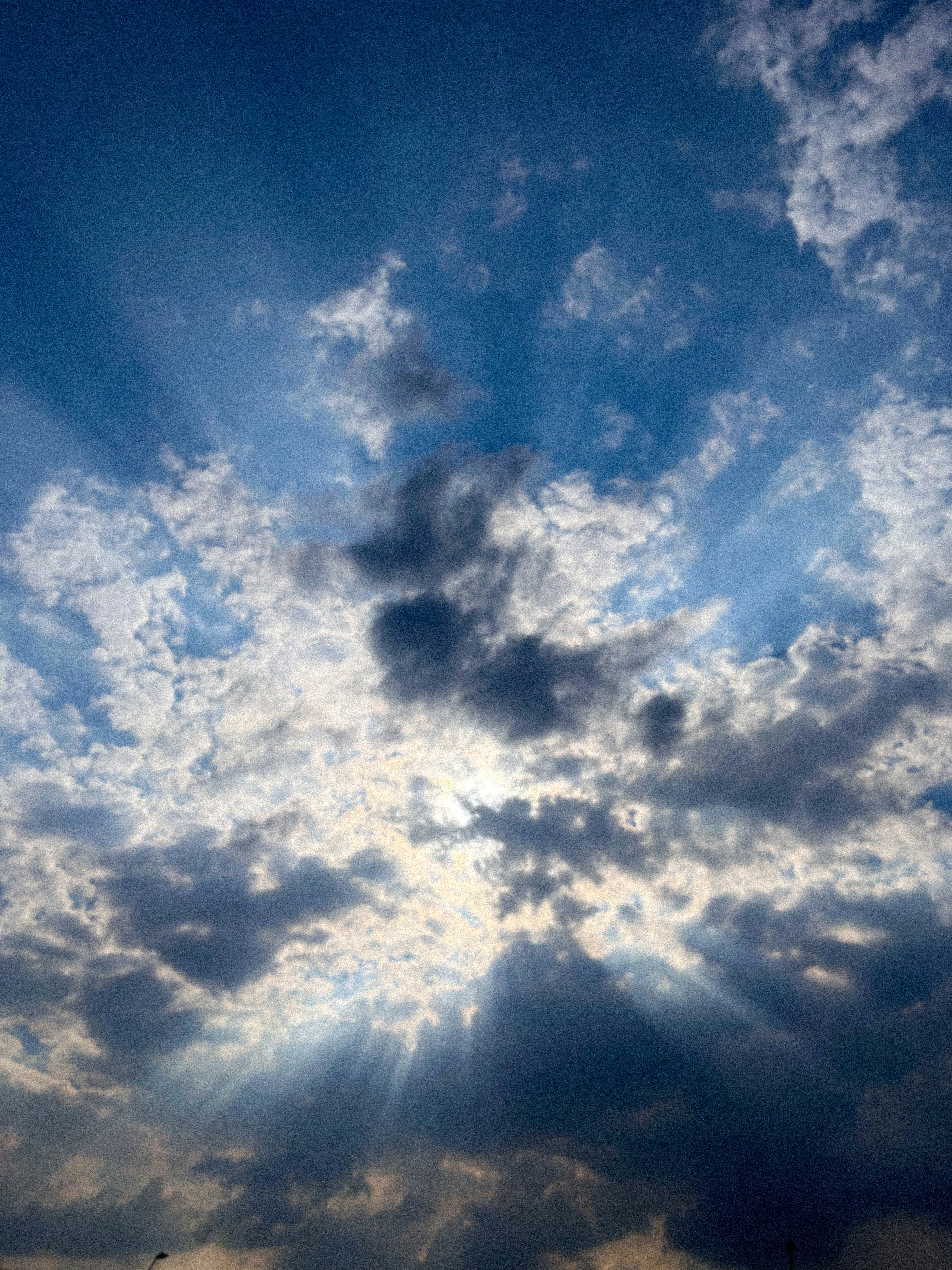 Angel Arroyo (@angel_arroyo) | Unsplash 사진 커뮤니티