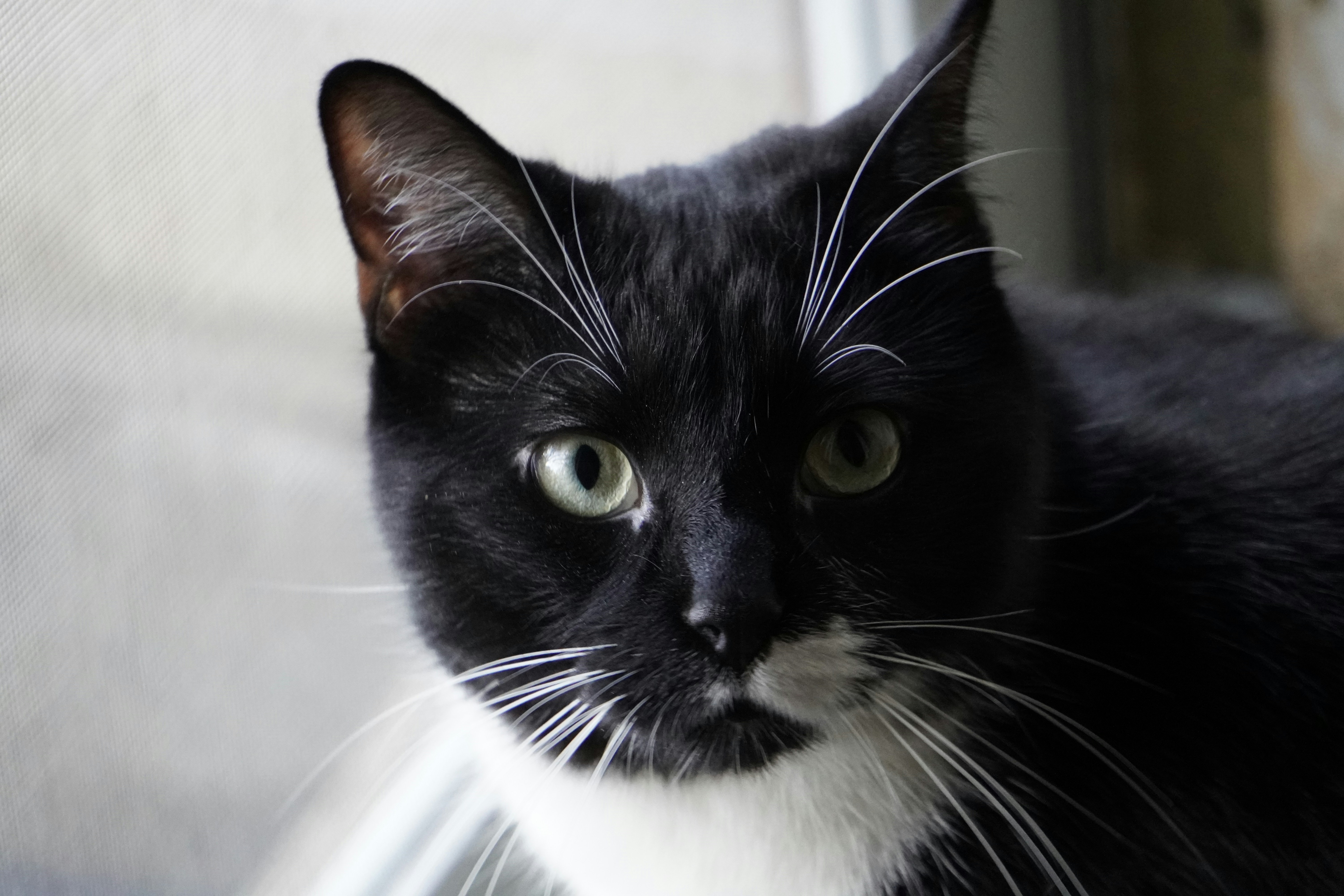 Photo by tellophotography