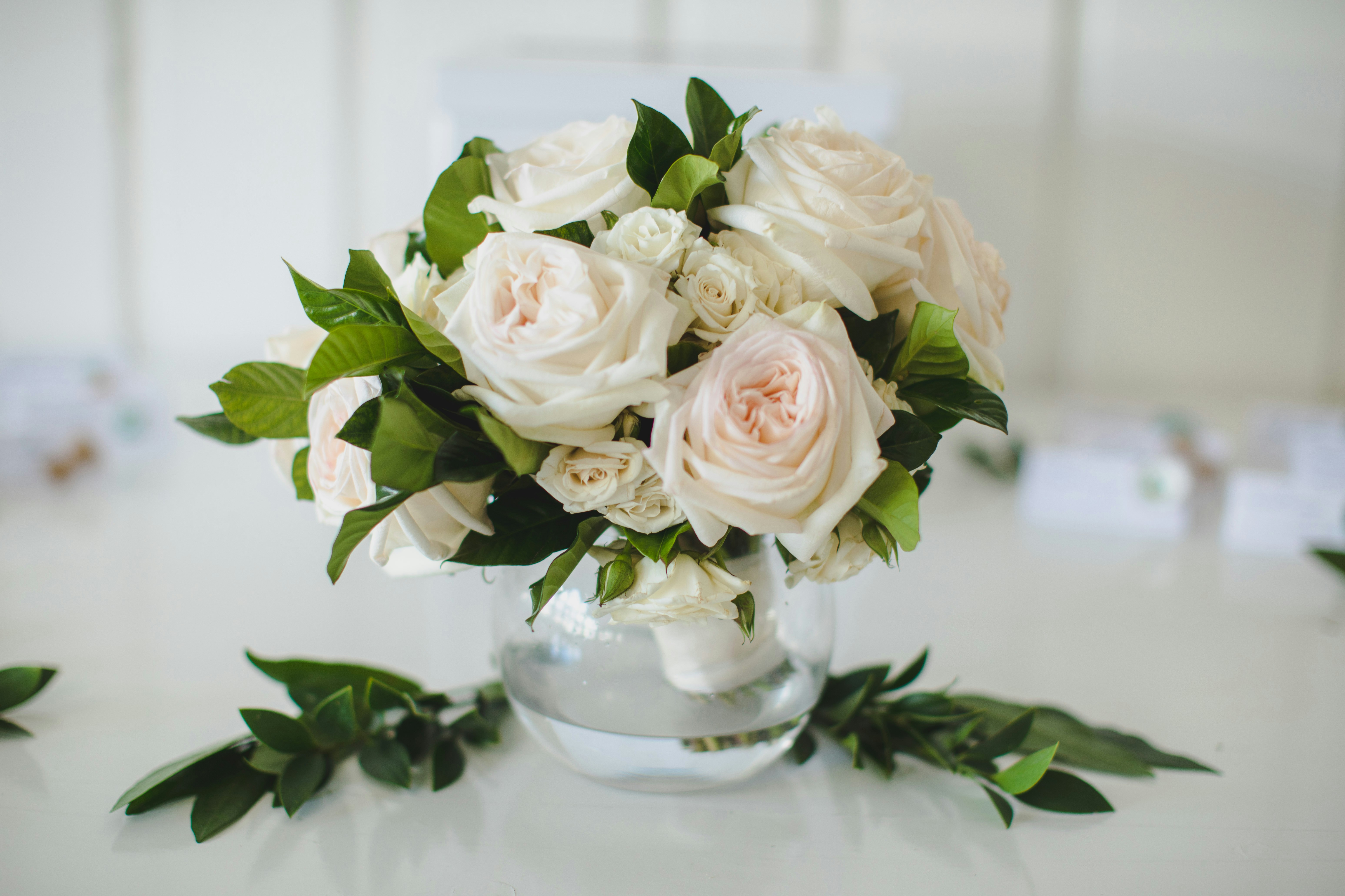 A beautiful bouquet of white roses in a vase.