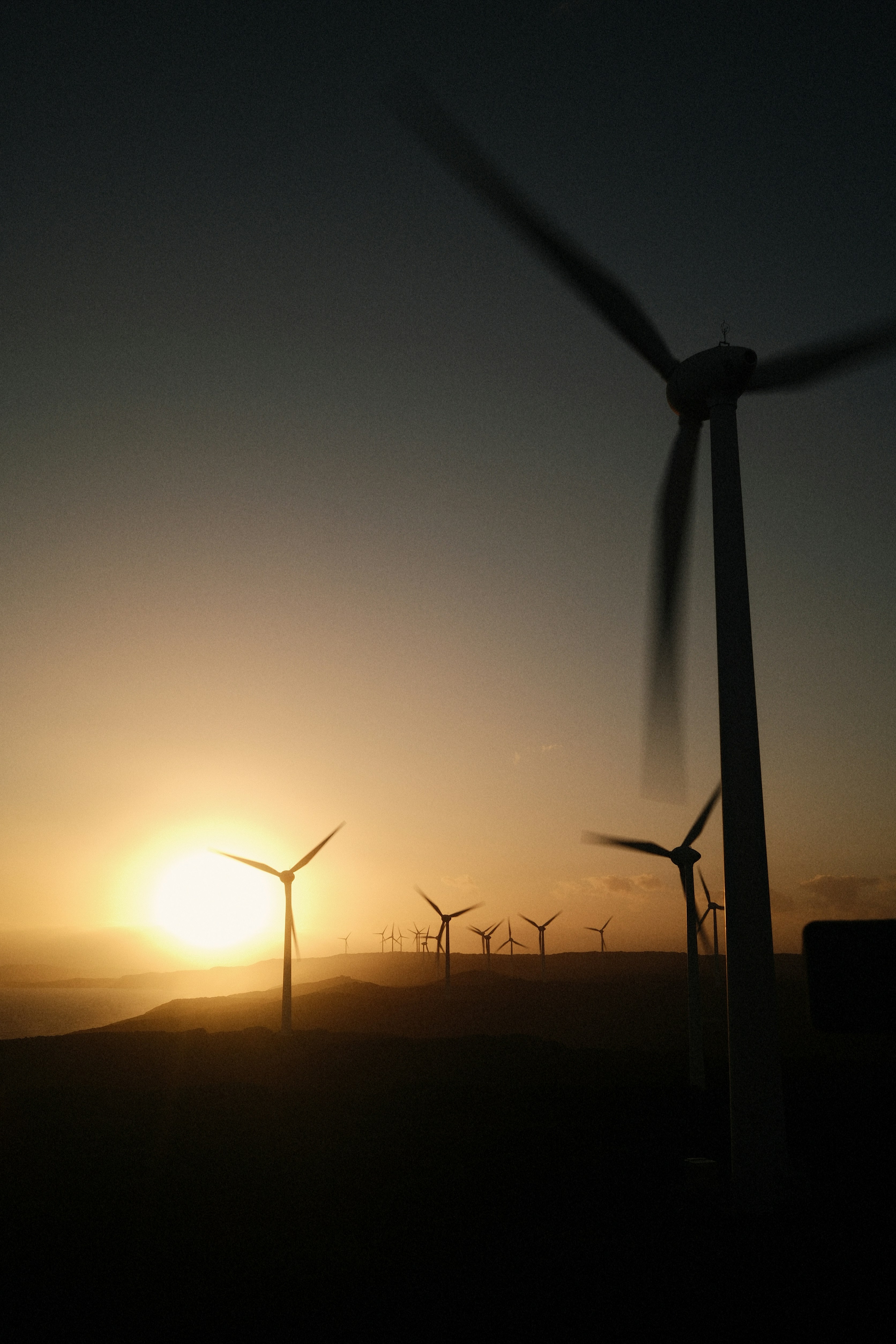 Photo by mounishraja