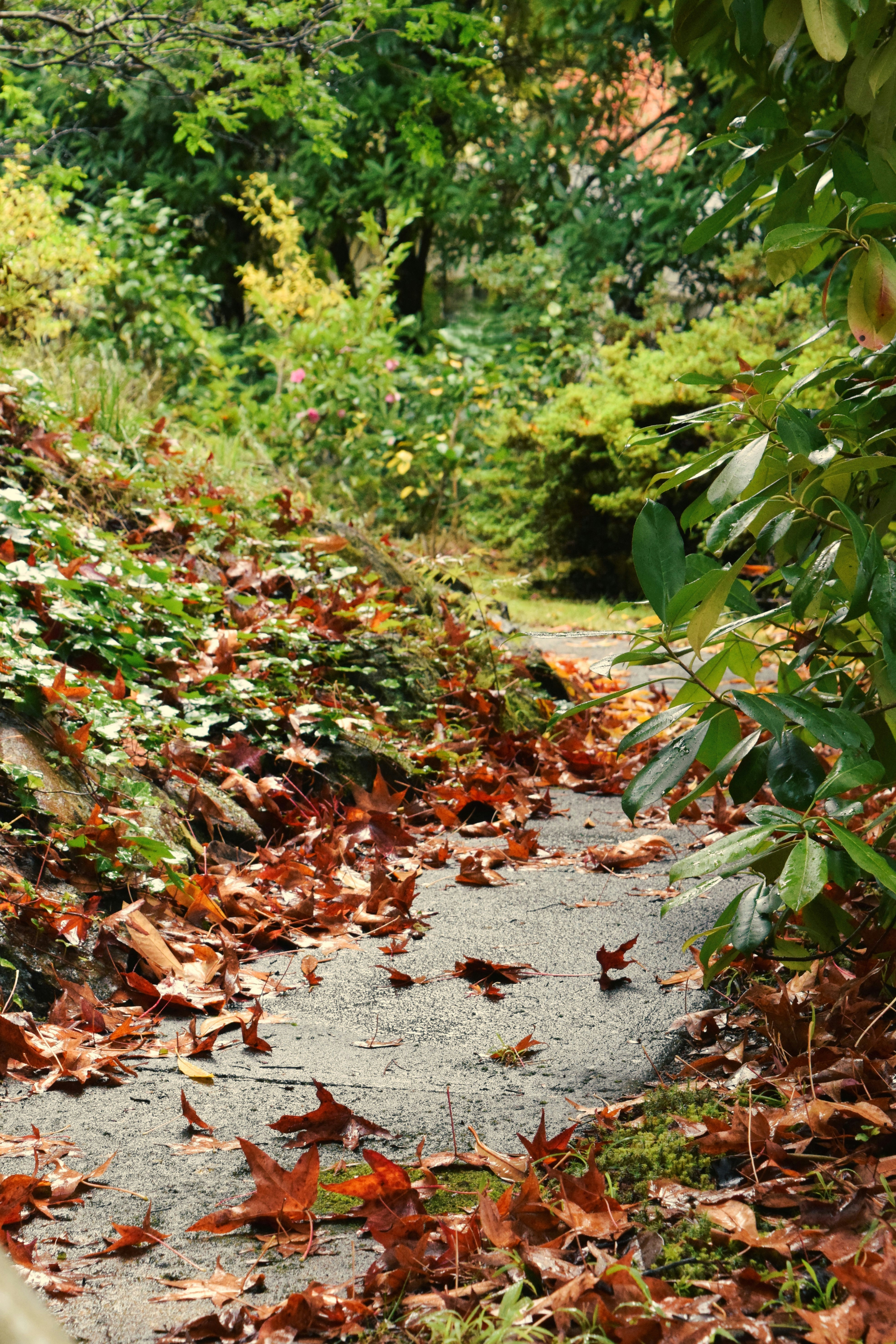 Photo by ch_photography