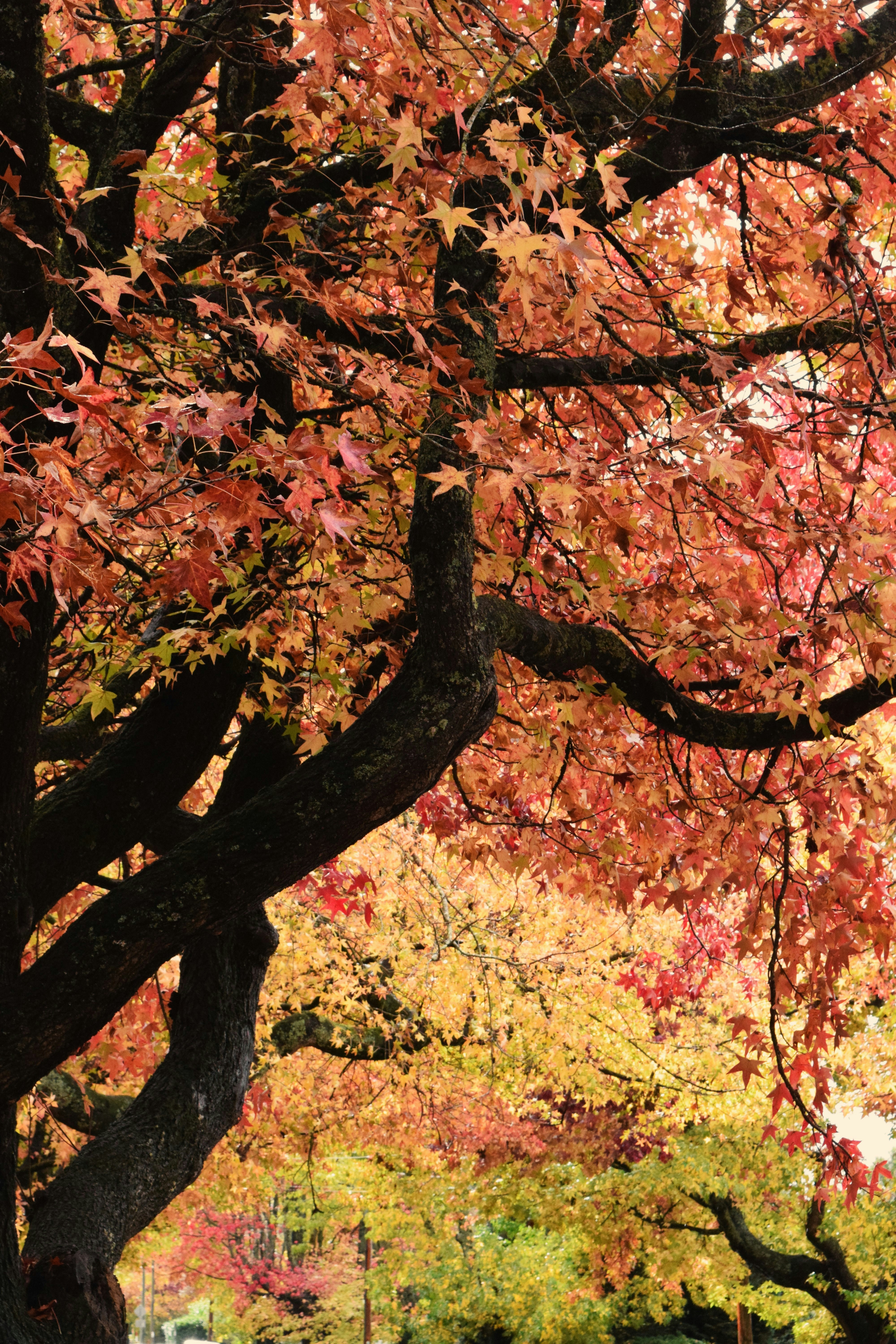 Photo by ch_photography