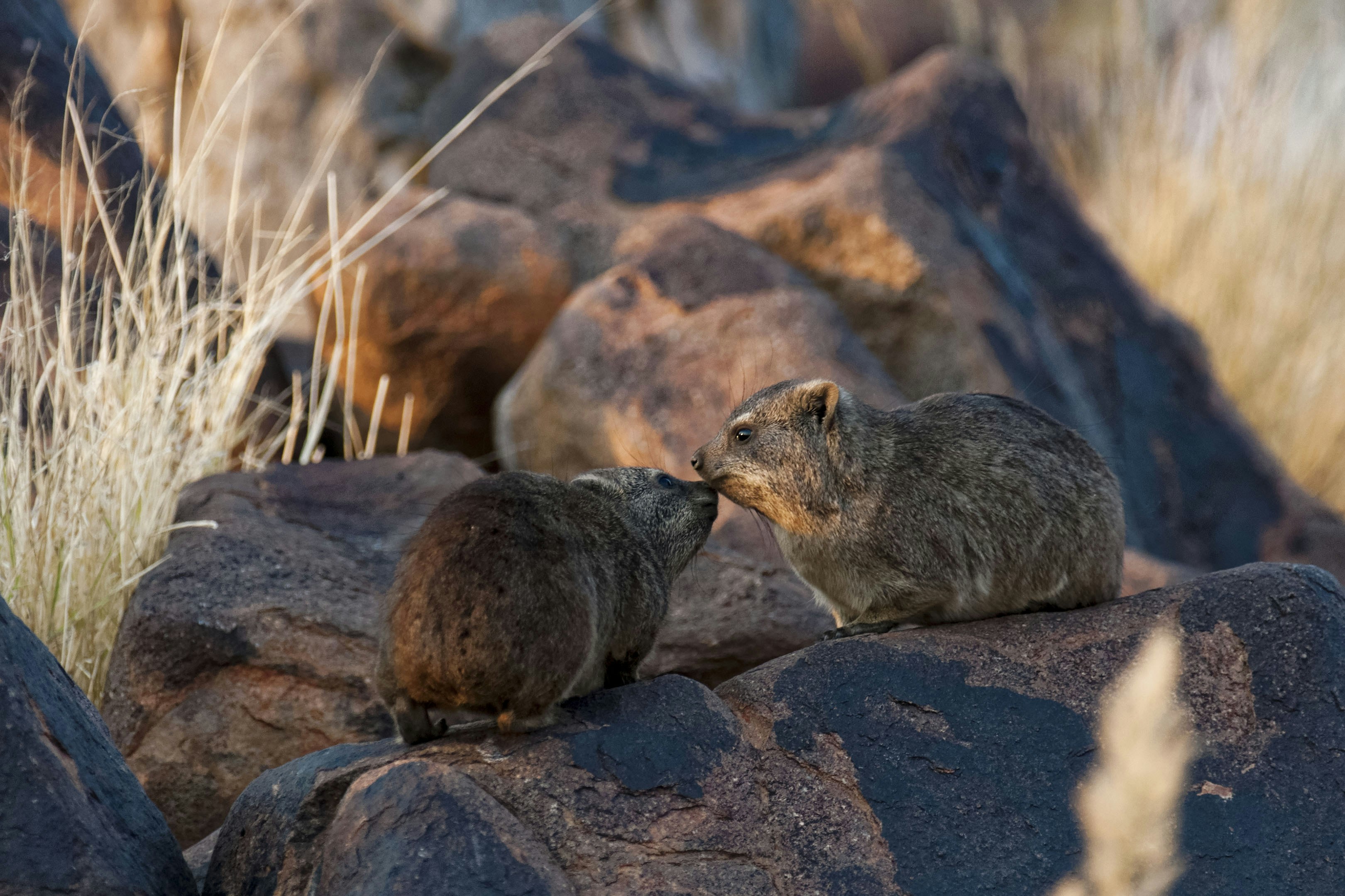 Keetmanshoop travel photo