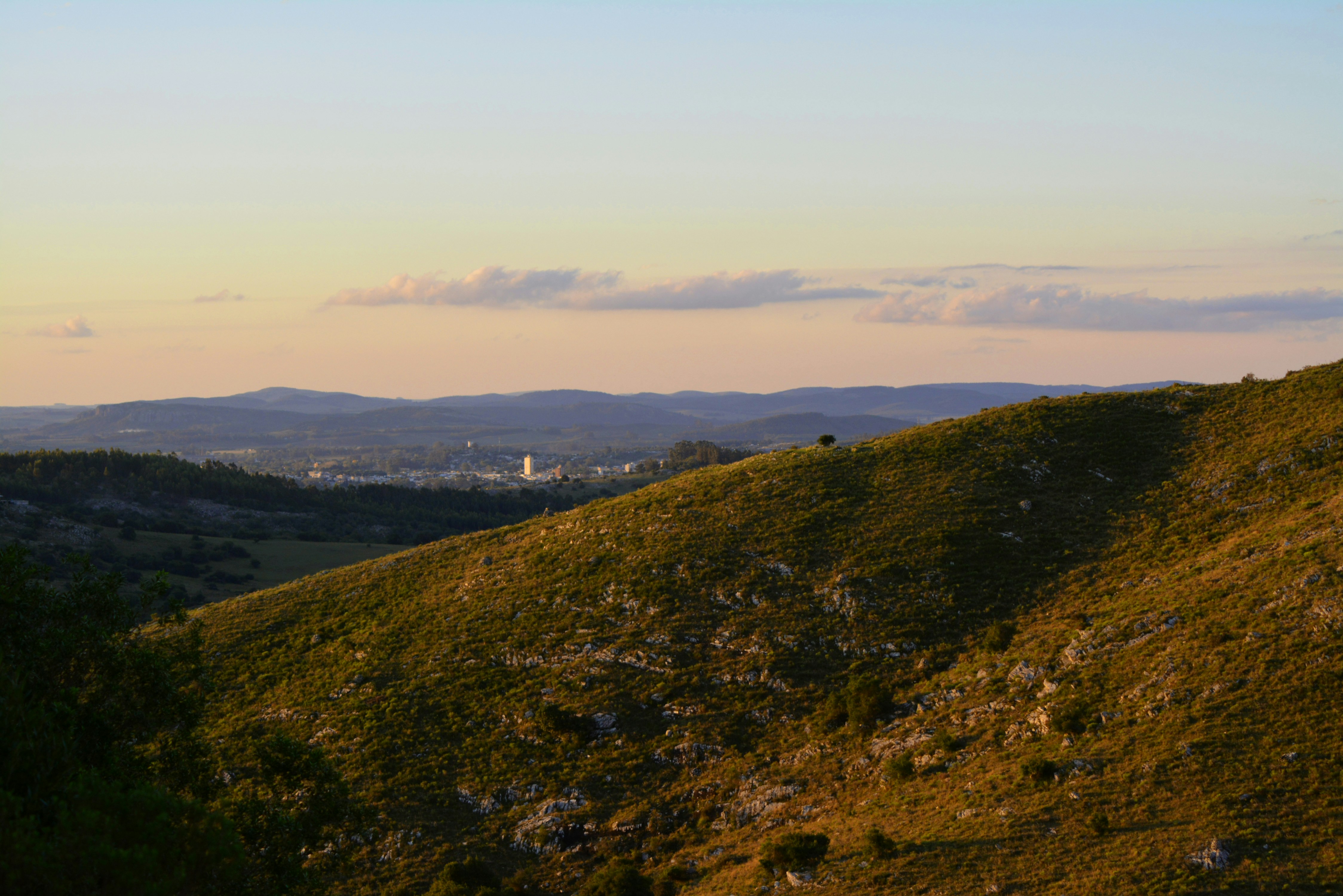 Photo by martinfranco