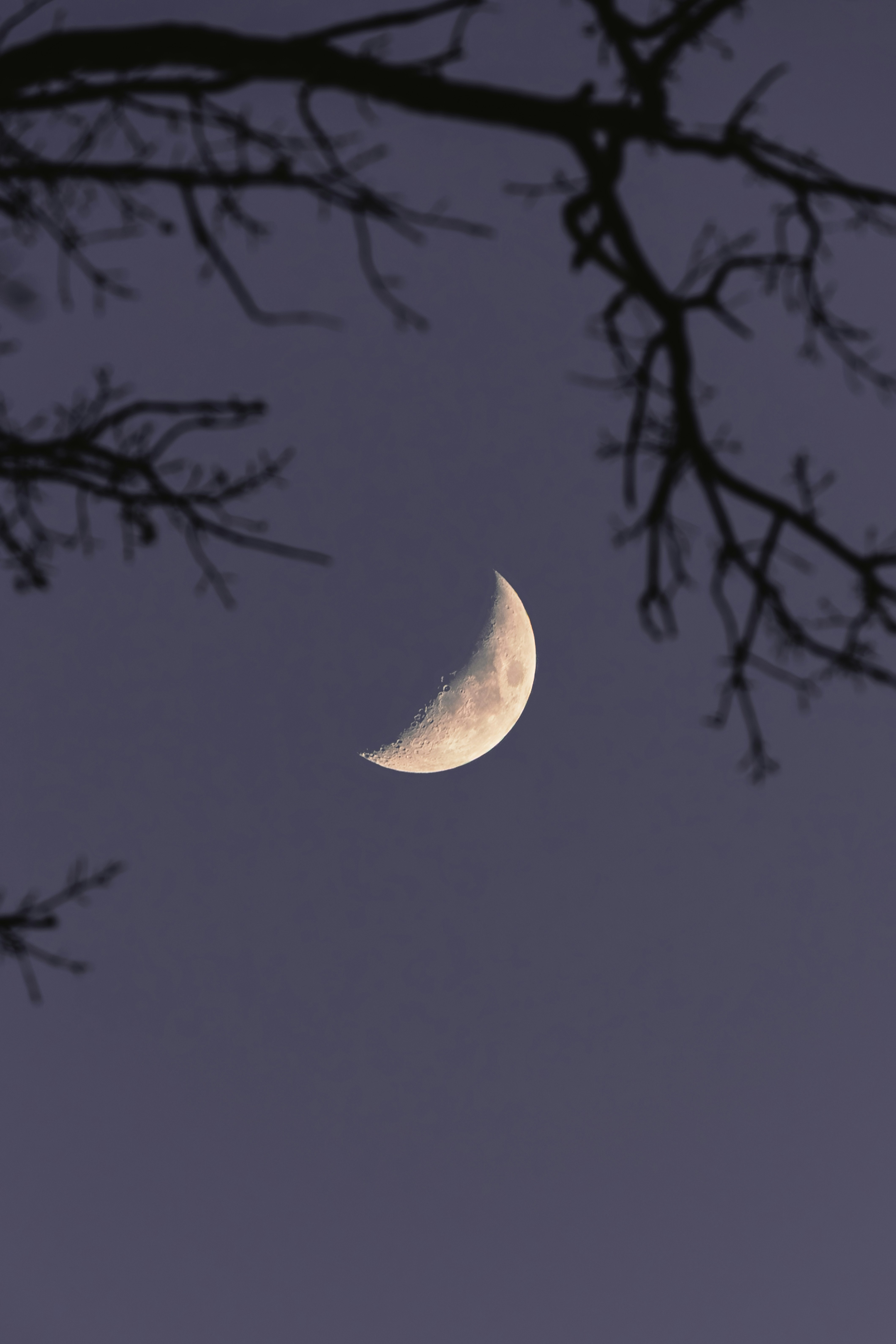 Photo by ahmetyuksek