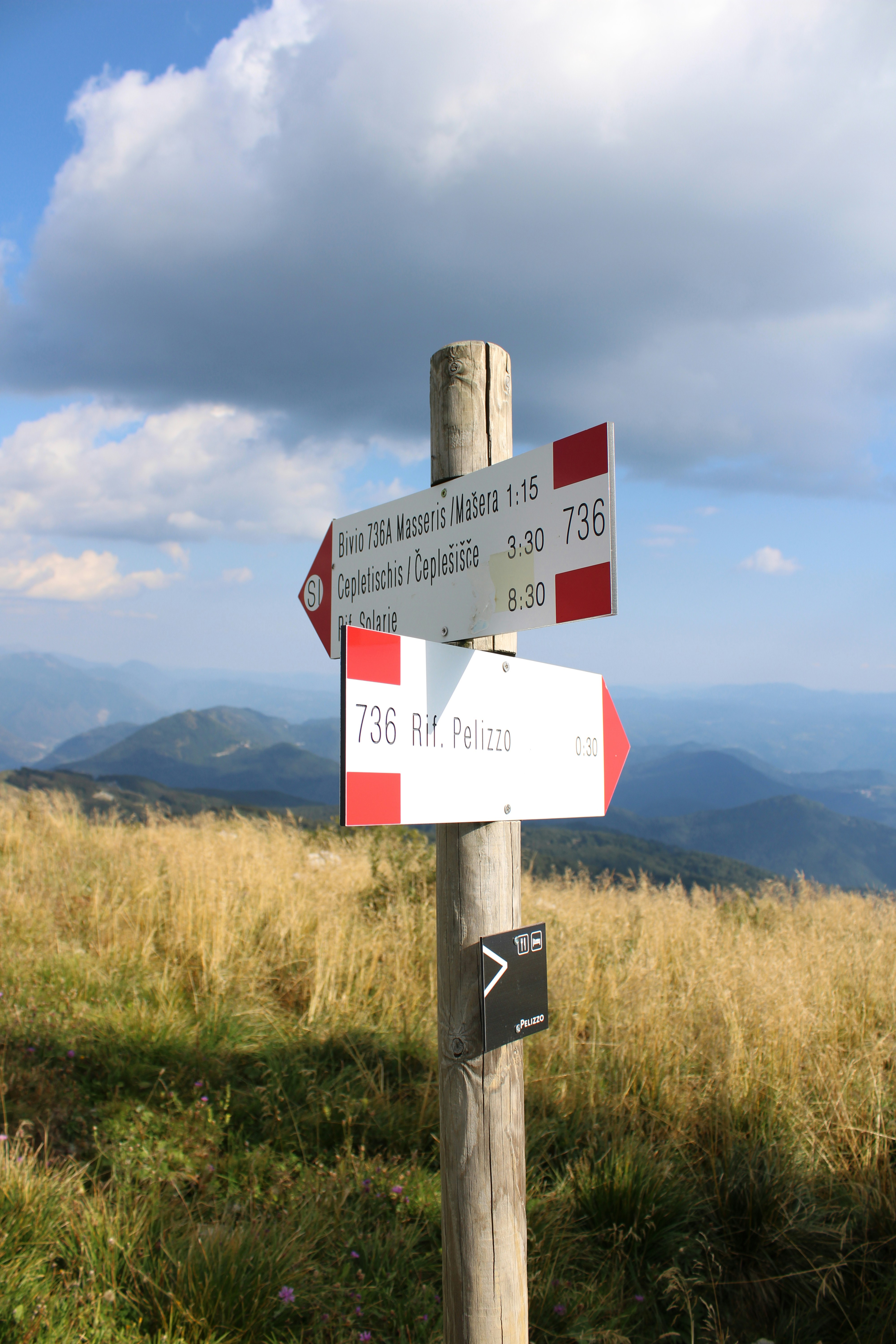 Photo by alicebarondesign