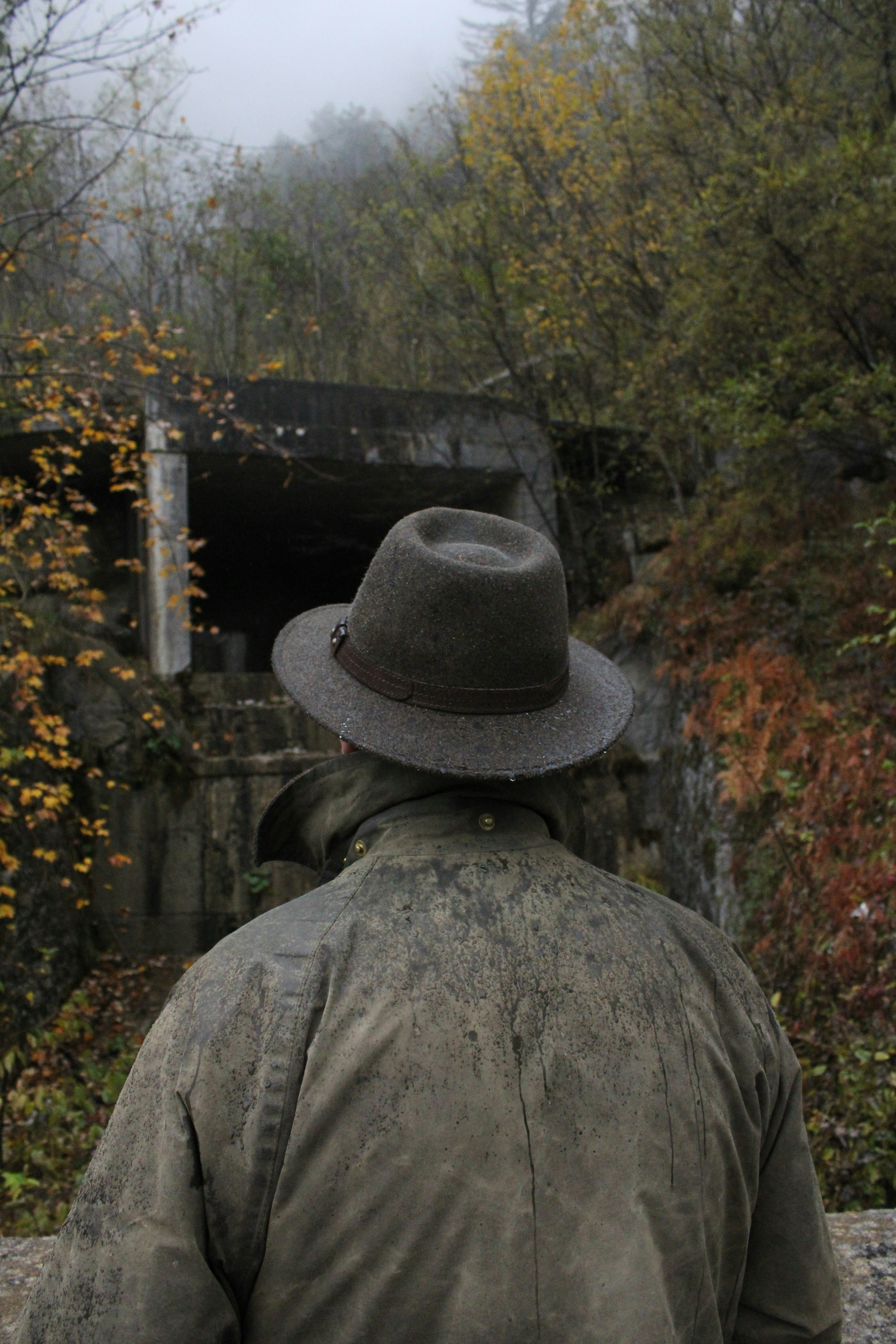 A person views a tunnel entrance in the woods - mining history sites