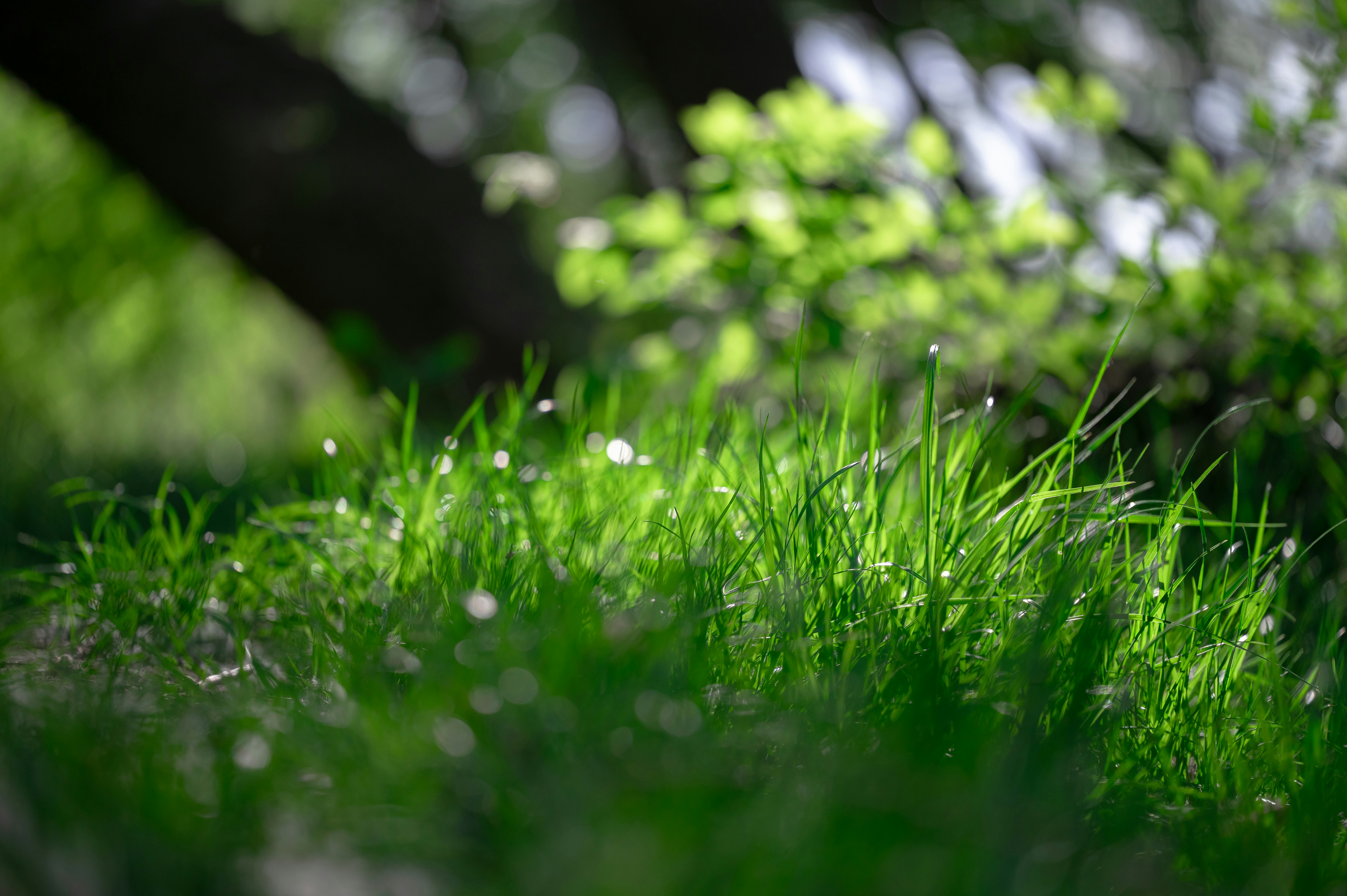 Photo by volodymyr_leush