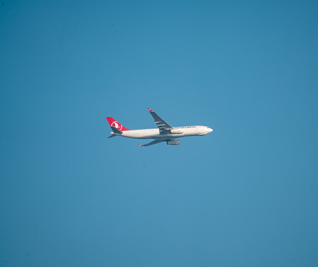 Unpacking Airline Mergers: The Real Impact on Flight Prices and Aff… — Unpacking Airline Mergers, photo 2