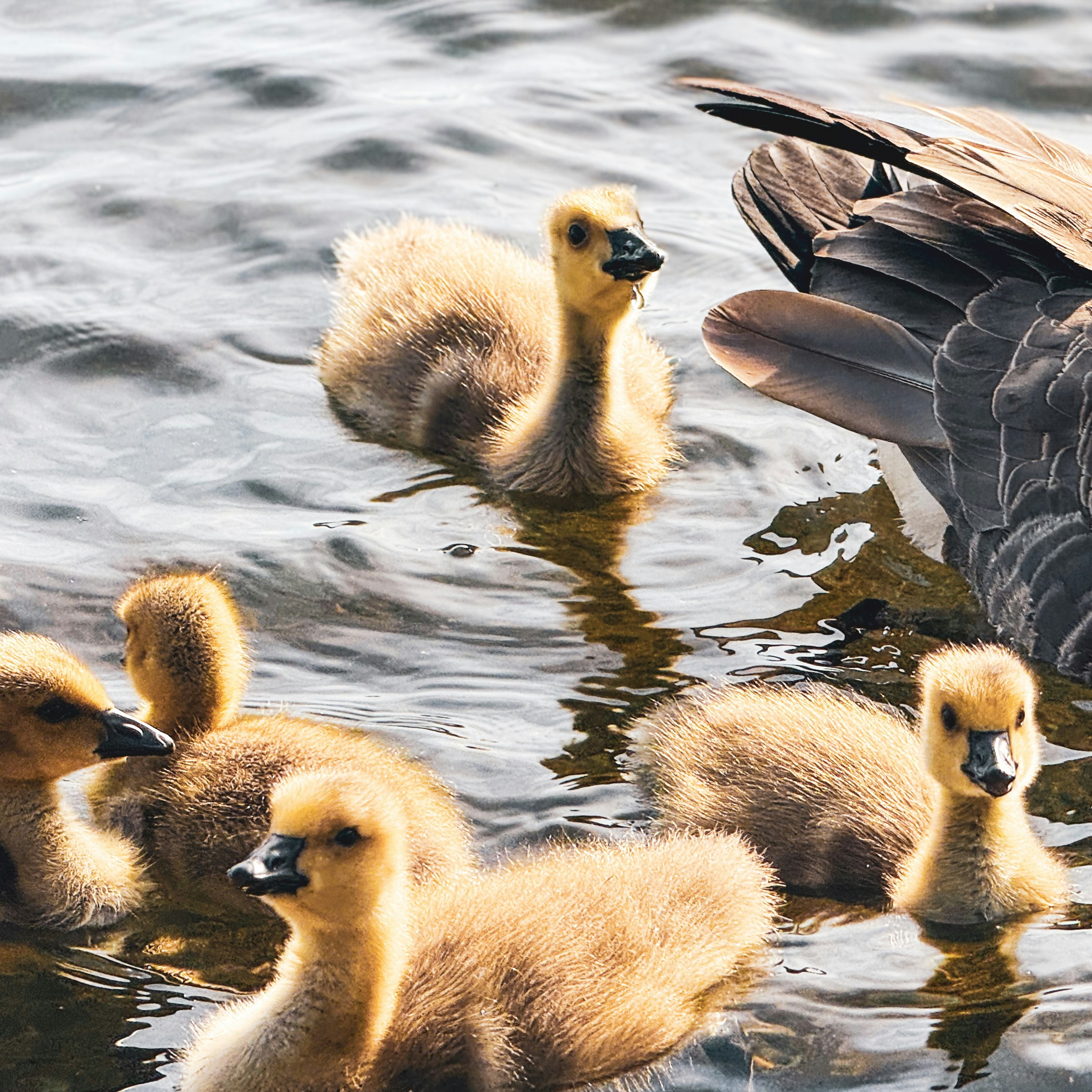 Photo by celinesbasics