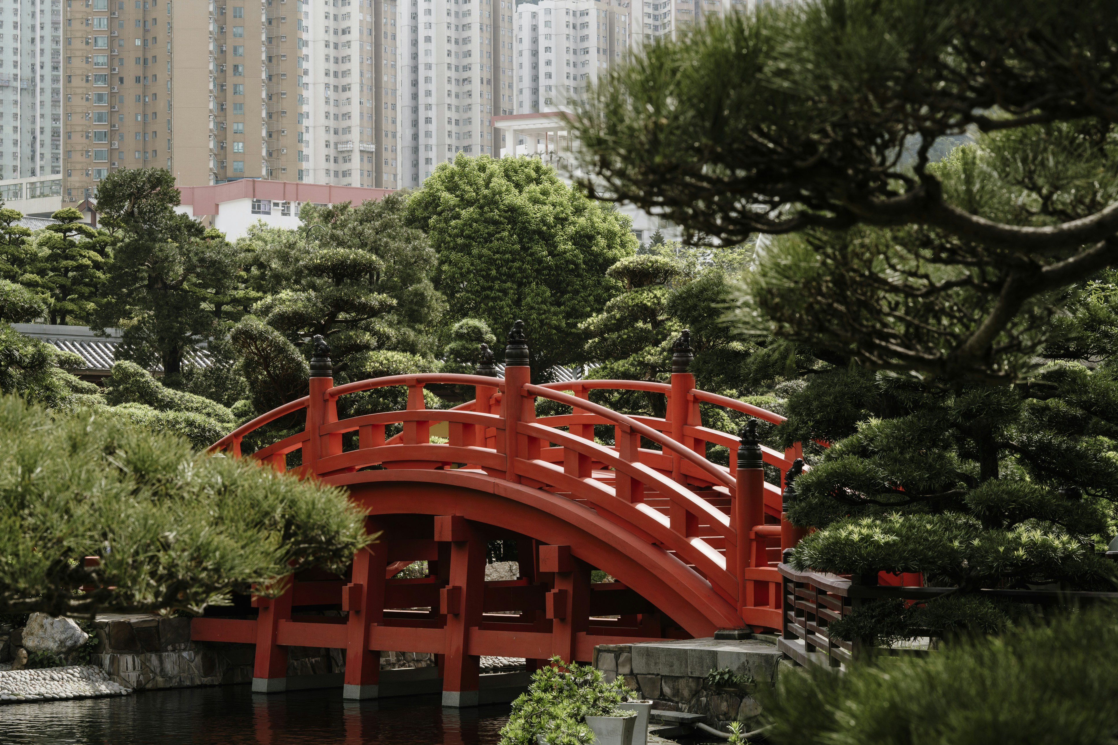 Photo by nerissa_j_photography