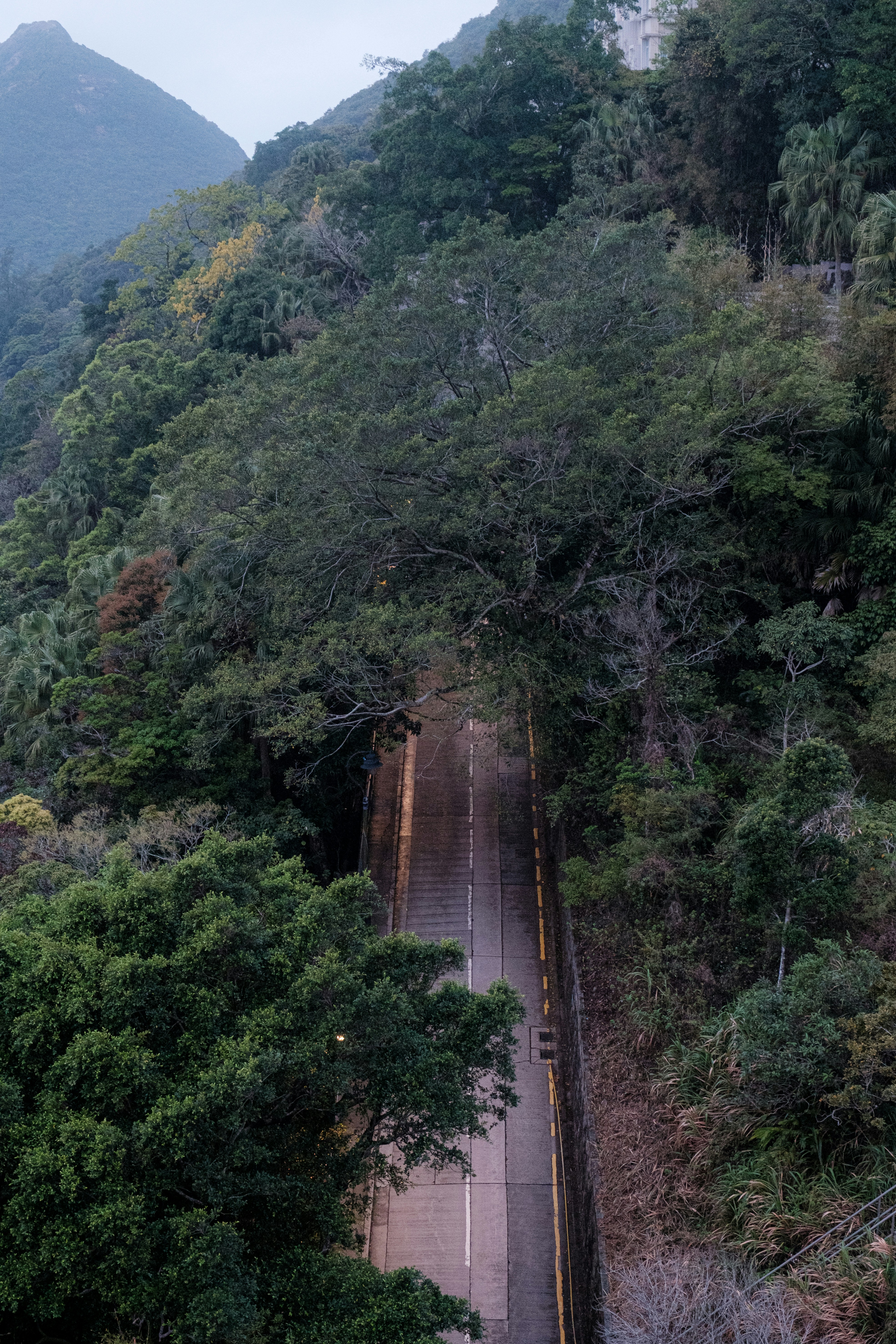 Photo by michaelheld