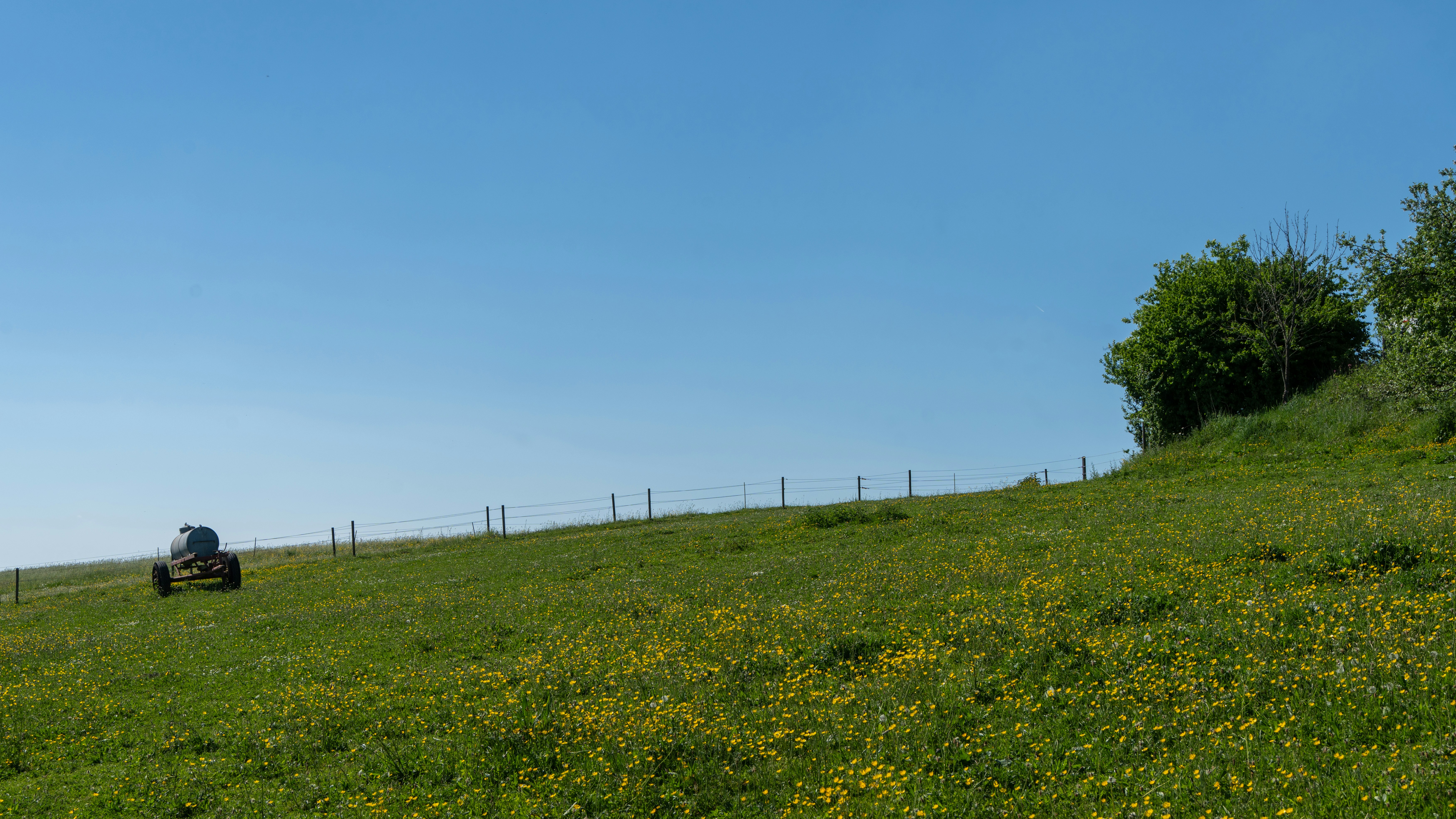 Photo by robertschwarz