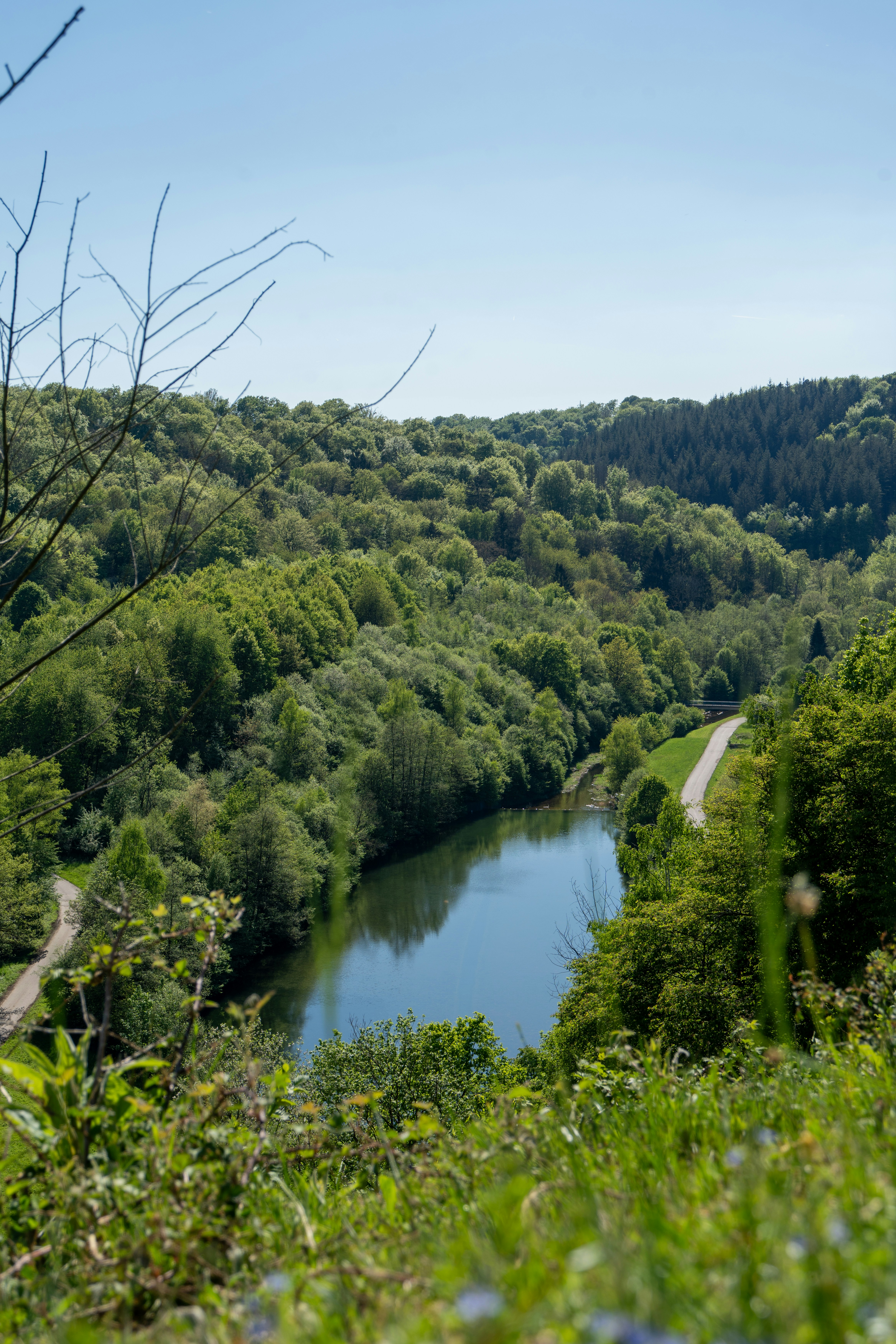 Photo by robertschwarz