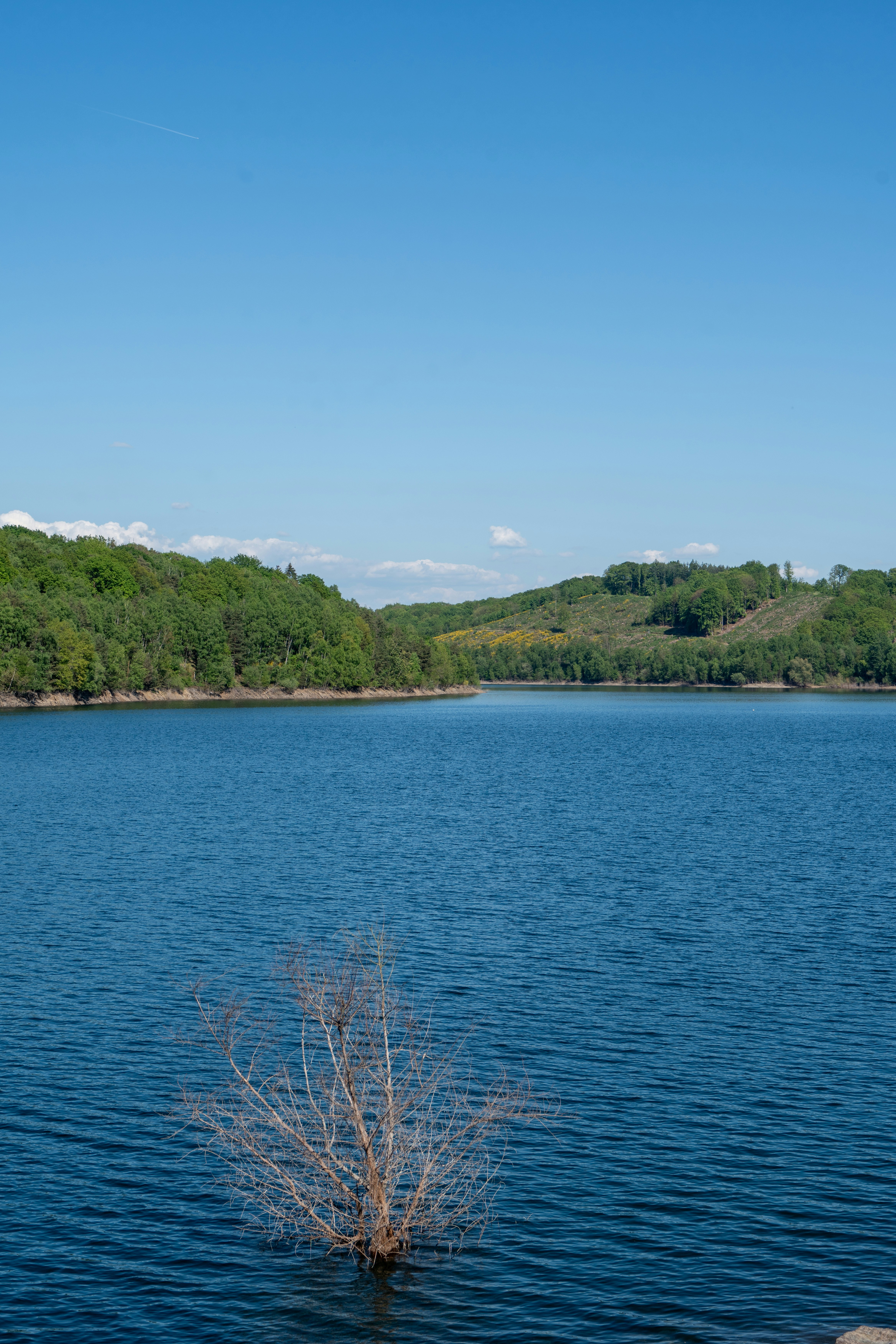 Photo by robertschwarz