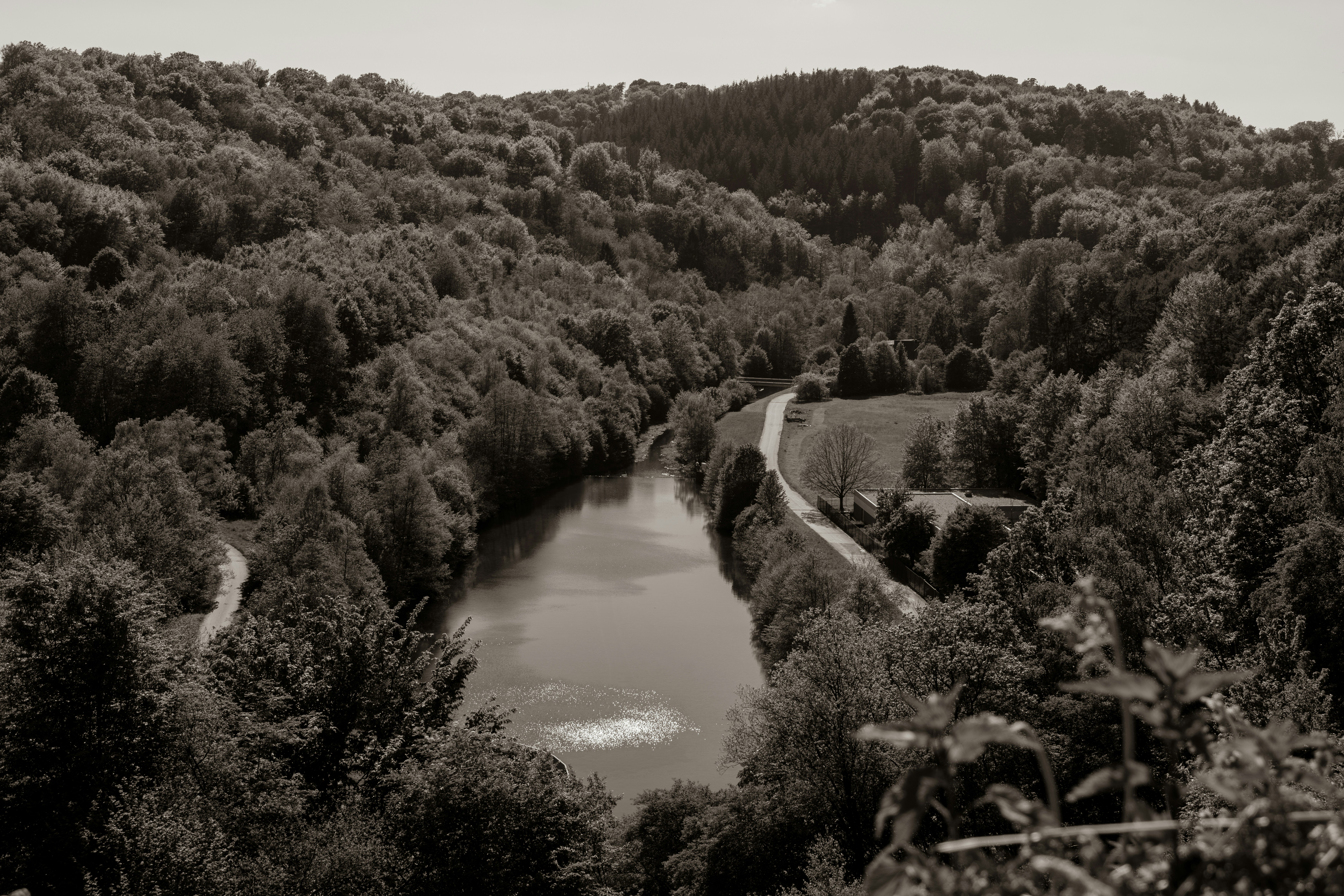 Photo by robertschwarz