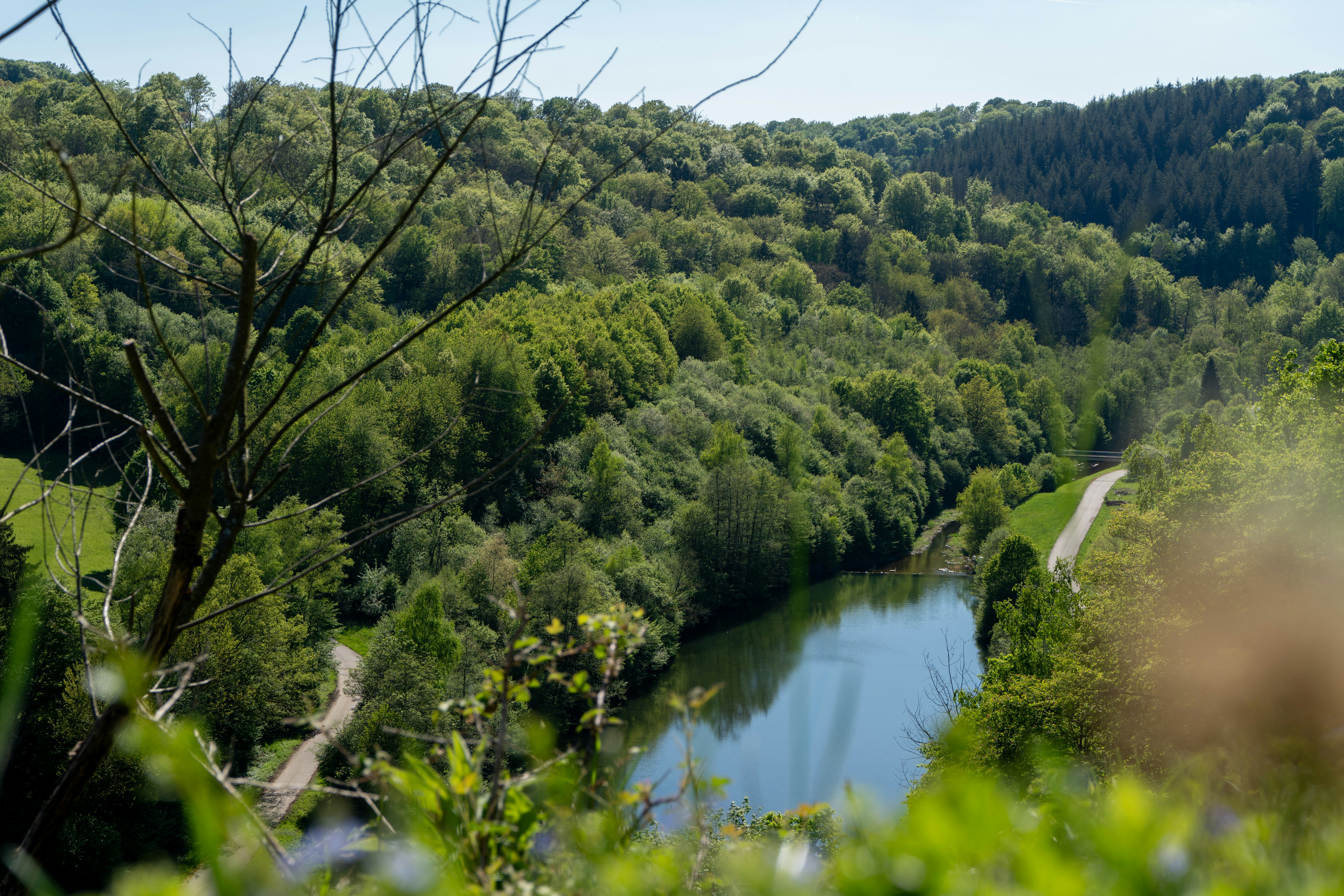 Photo by robertschwarz