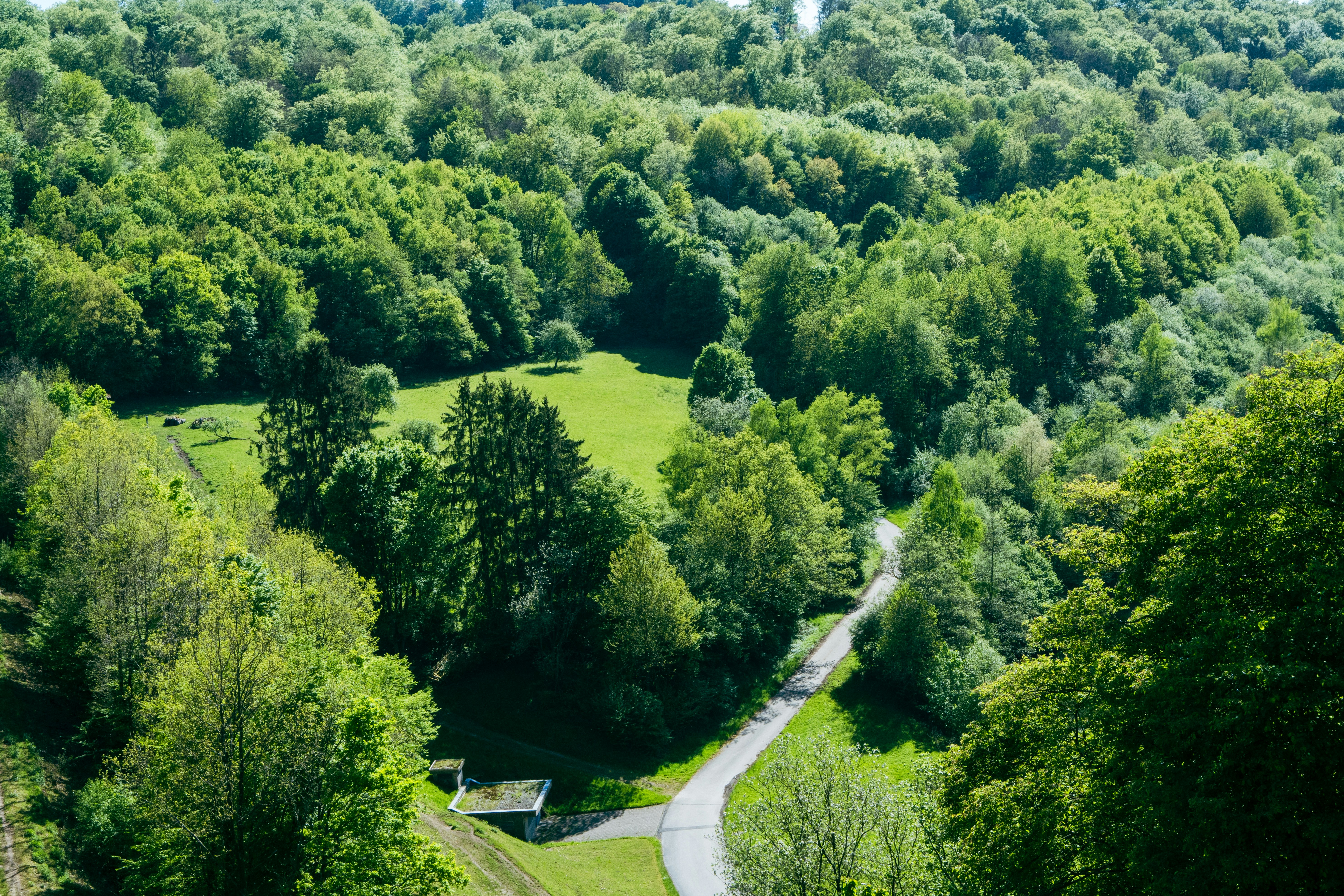 Photo by robertschwarz