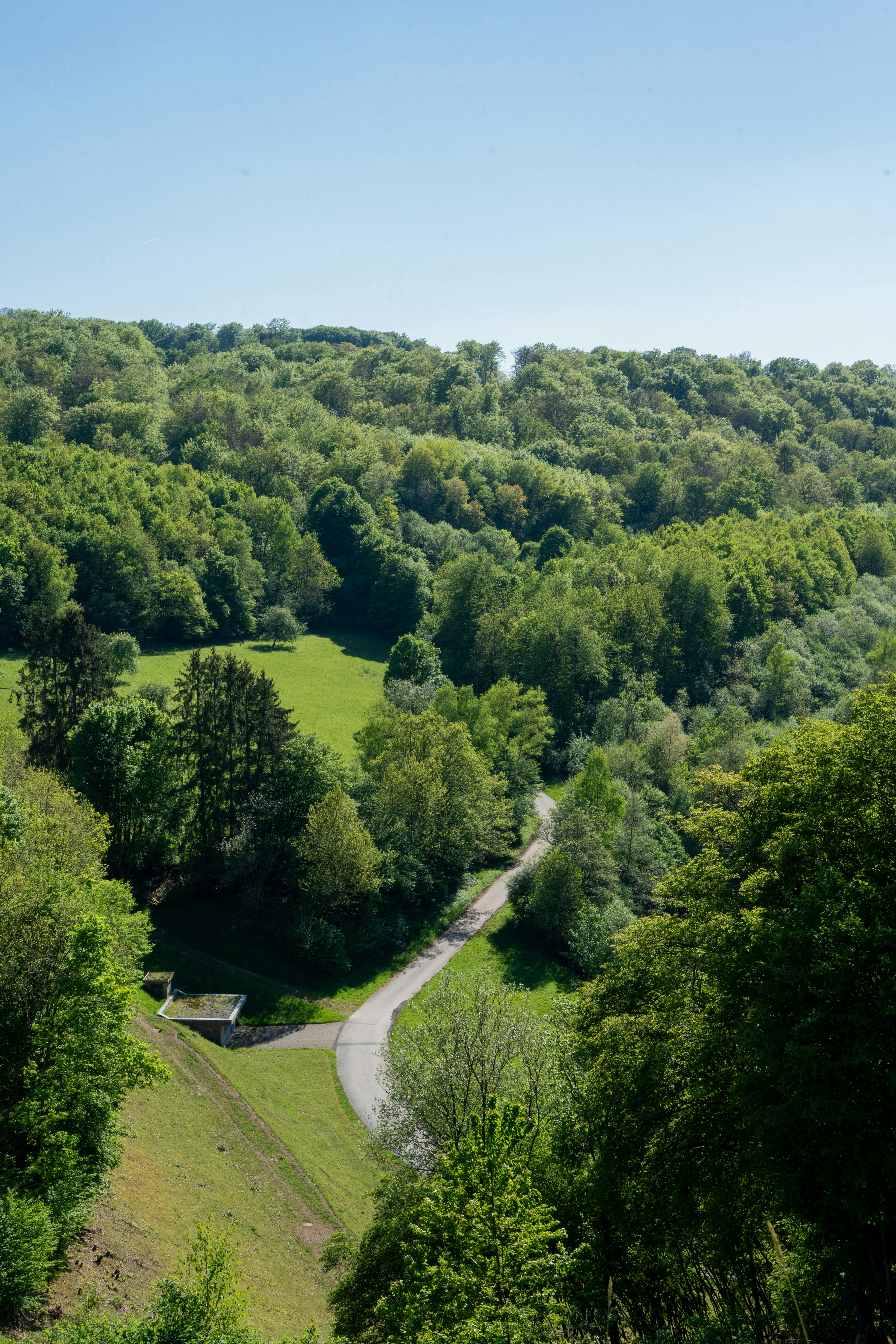 Photo by robertschwarz