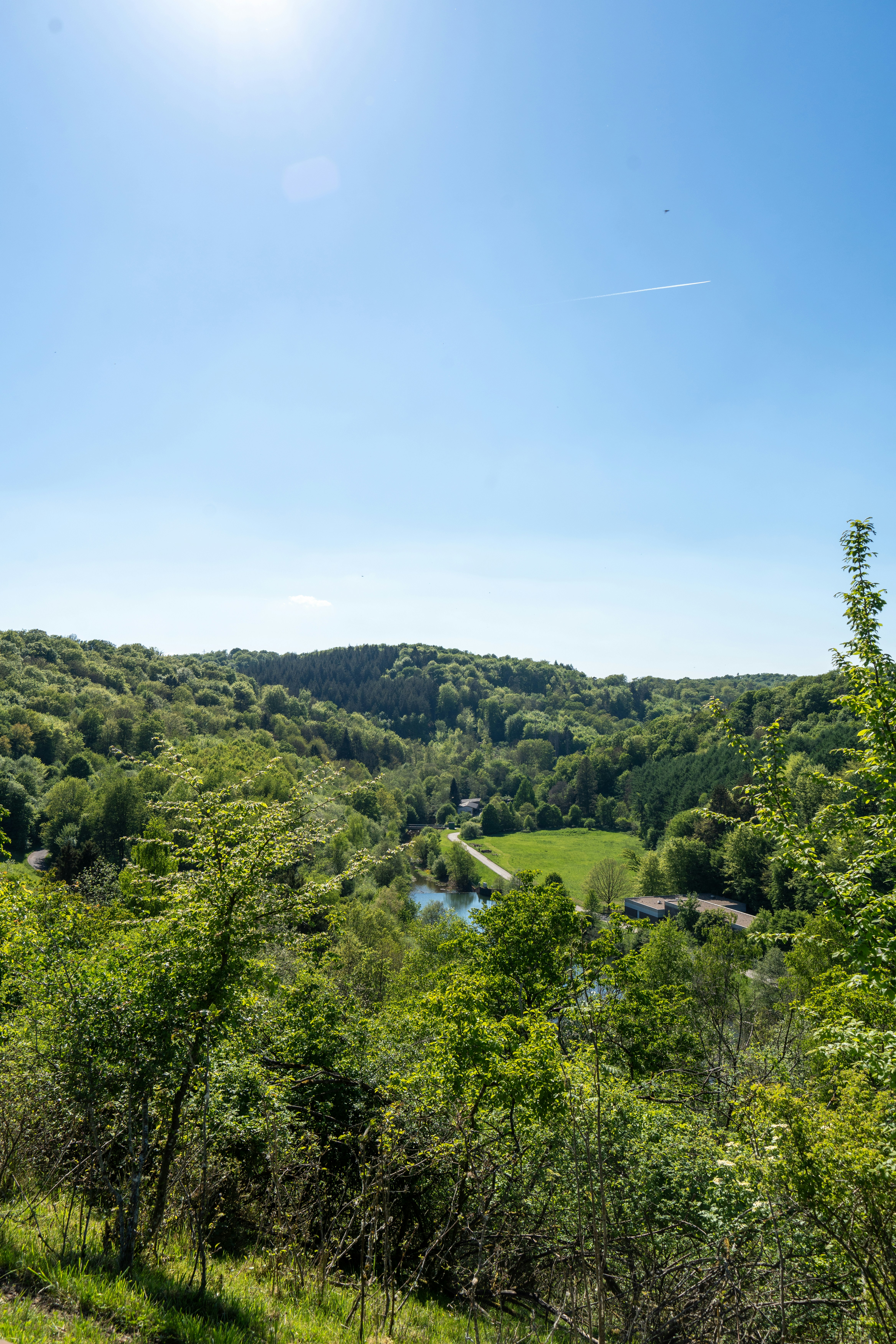 Photo by robertschwarz