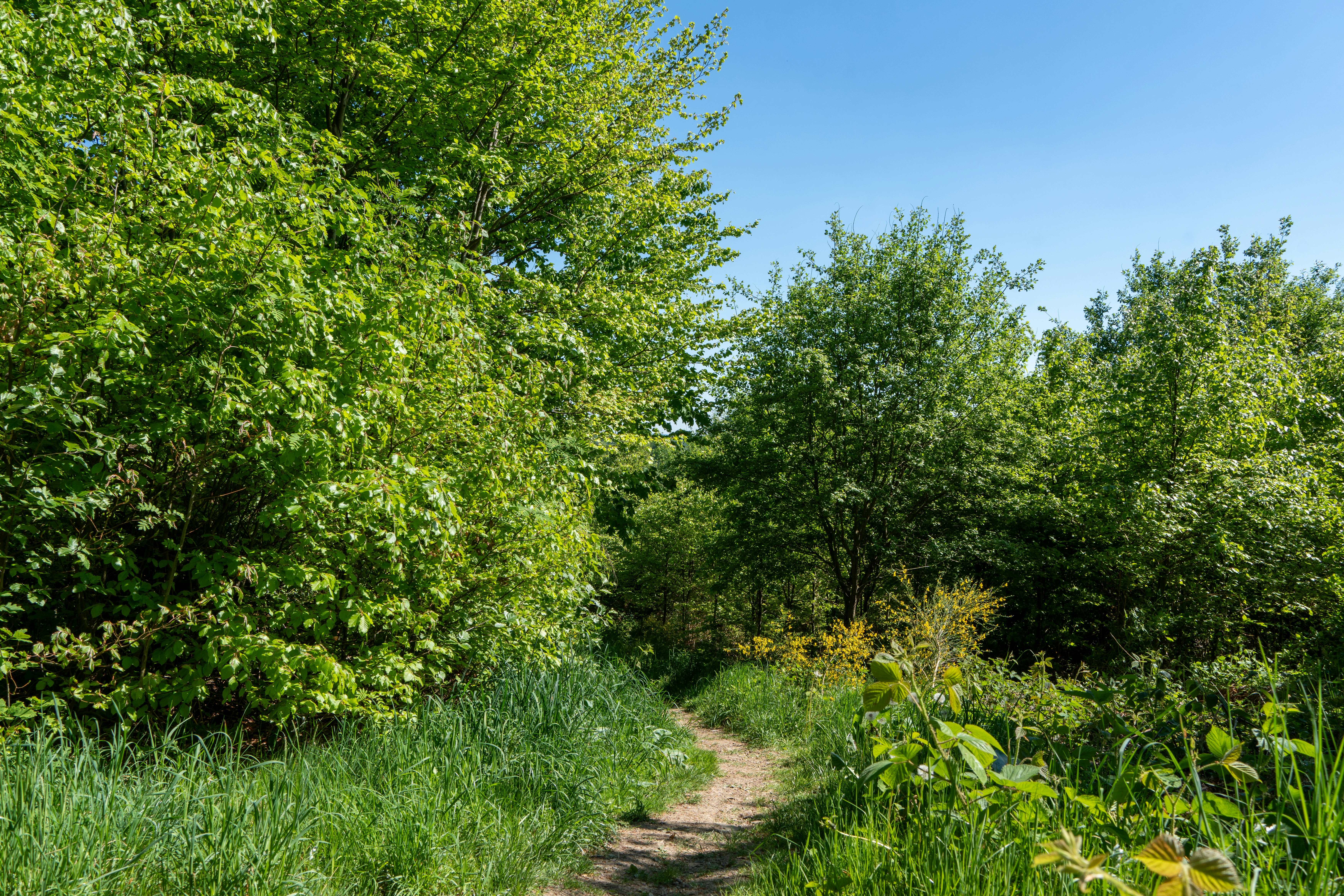 Photo by robertschwarz