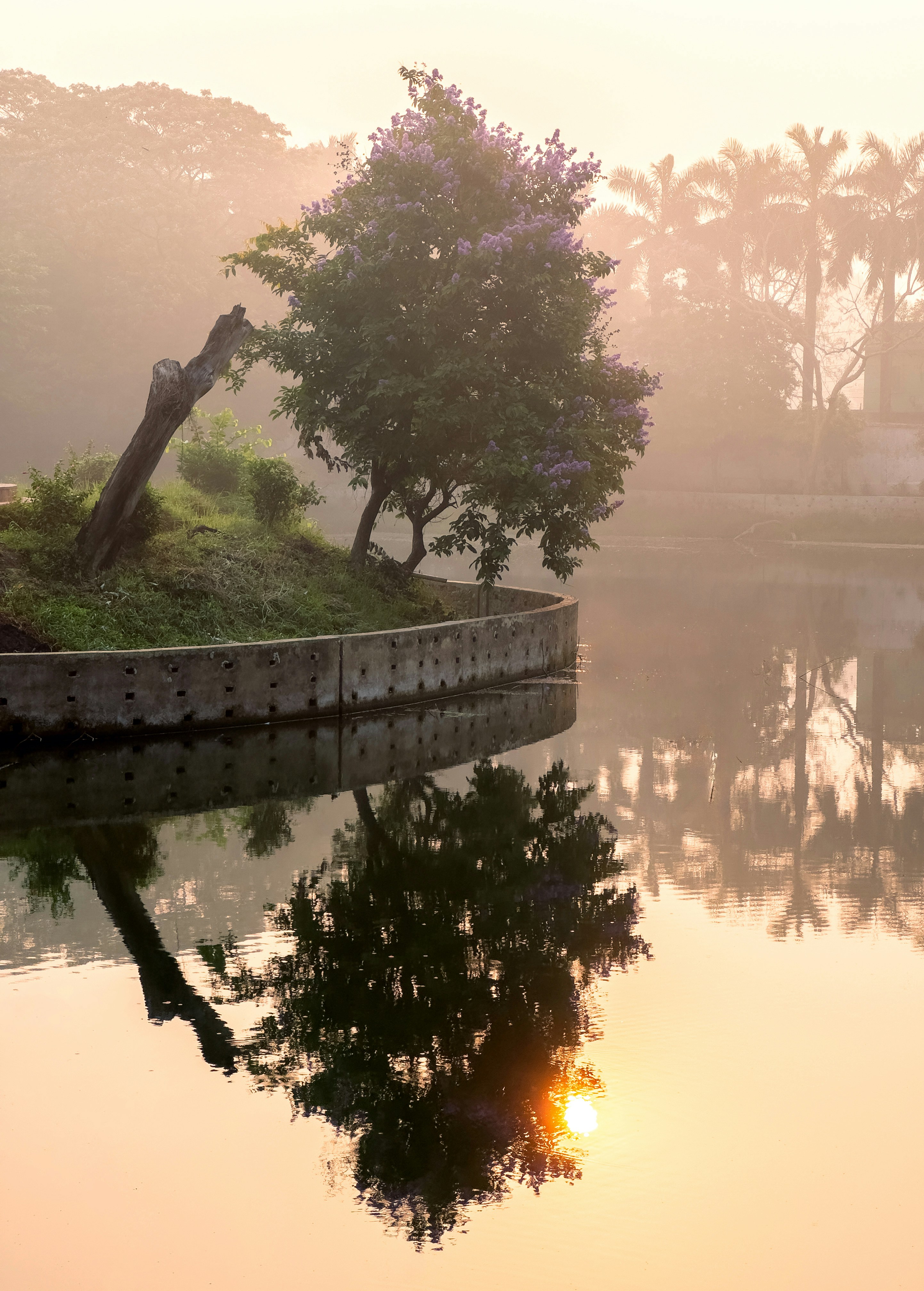 Calm sunrise