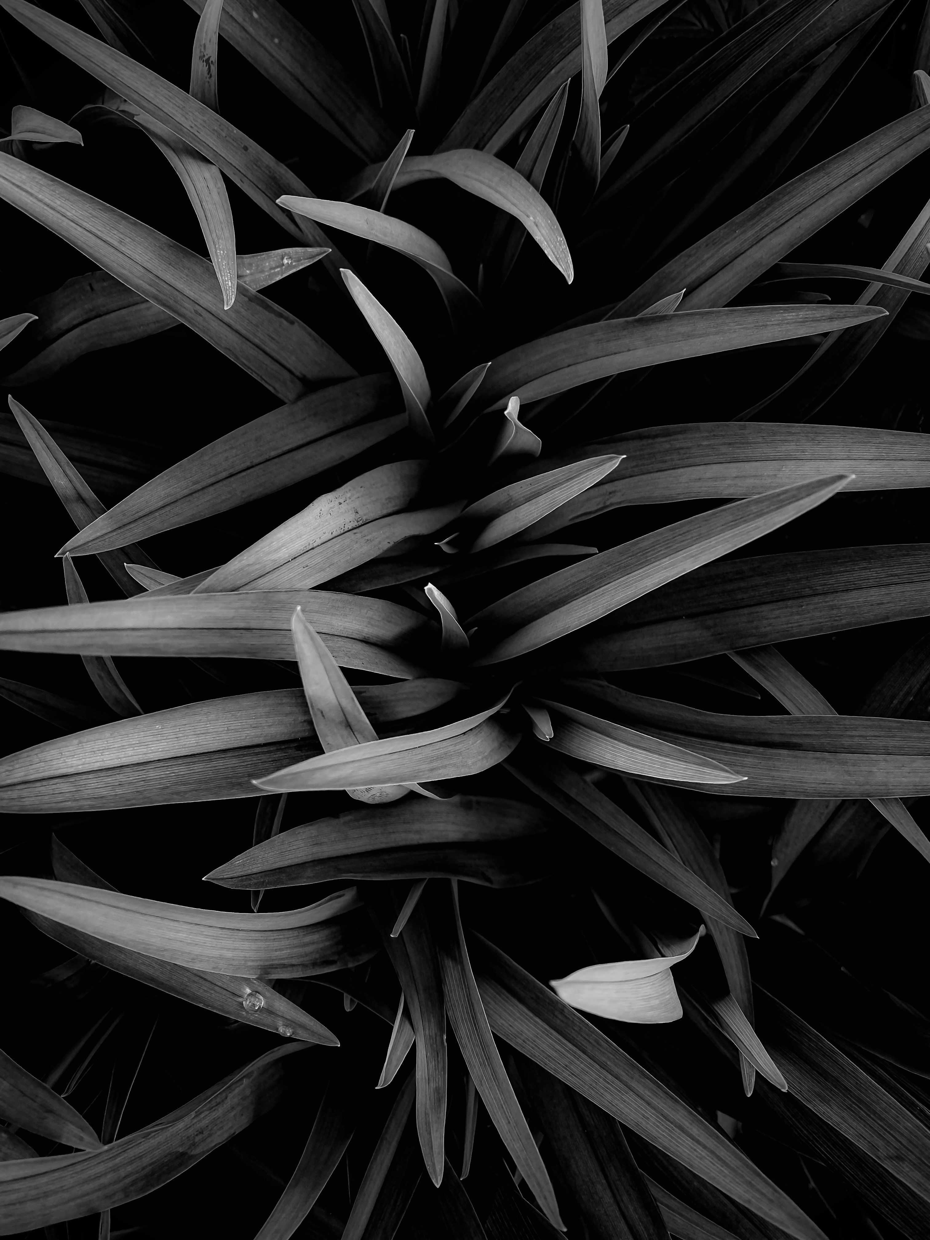 Photo by eugene_golovesov