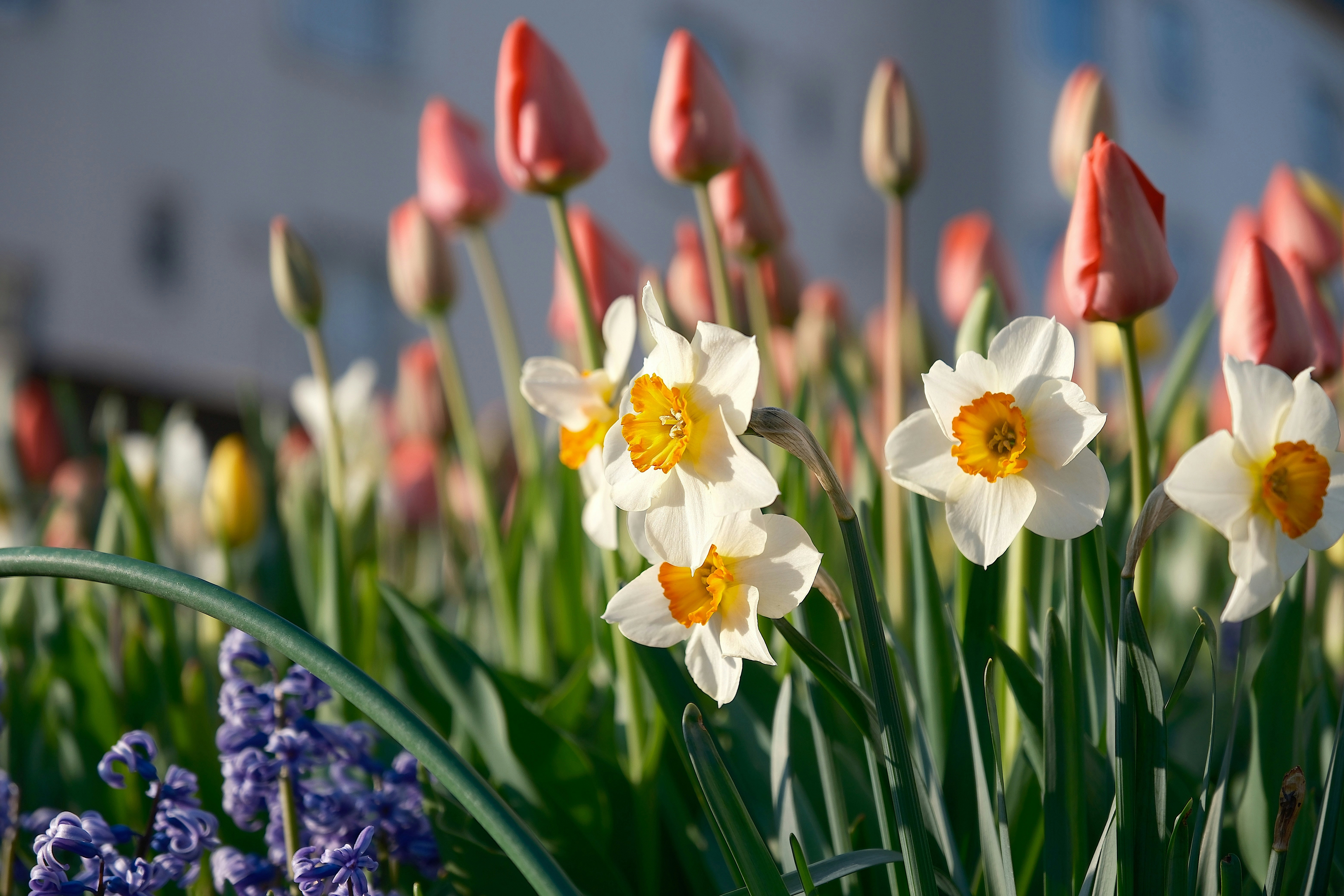 Photo by seiya_maeda