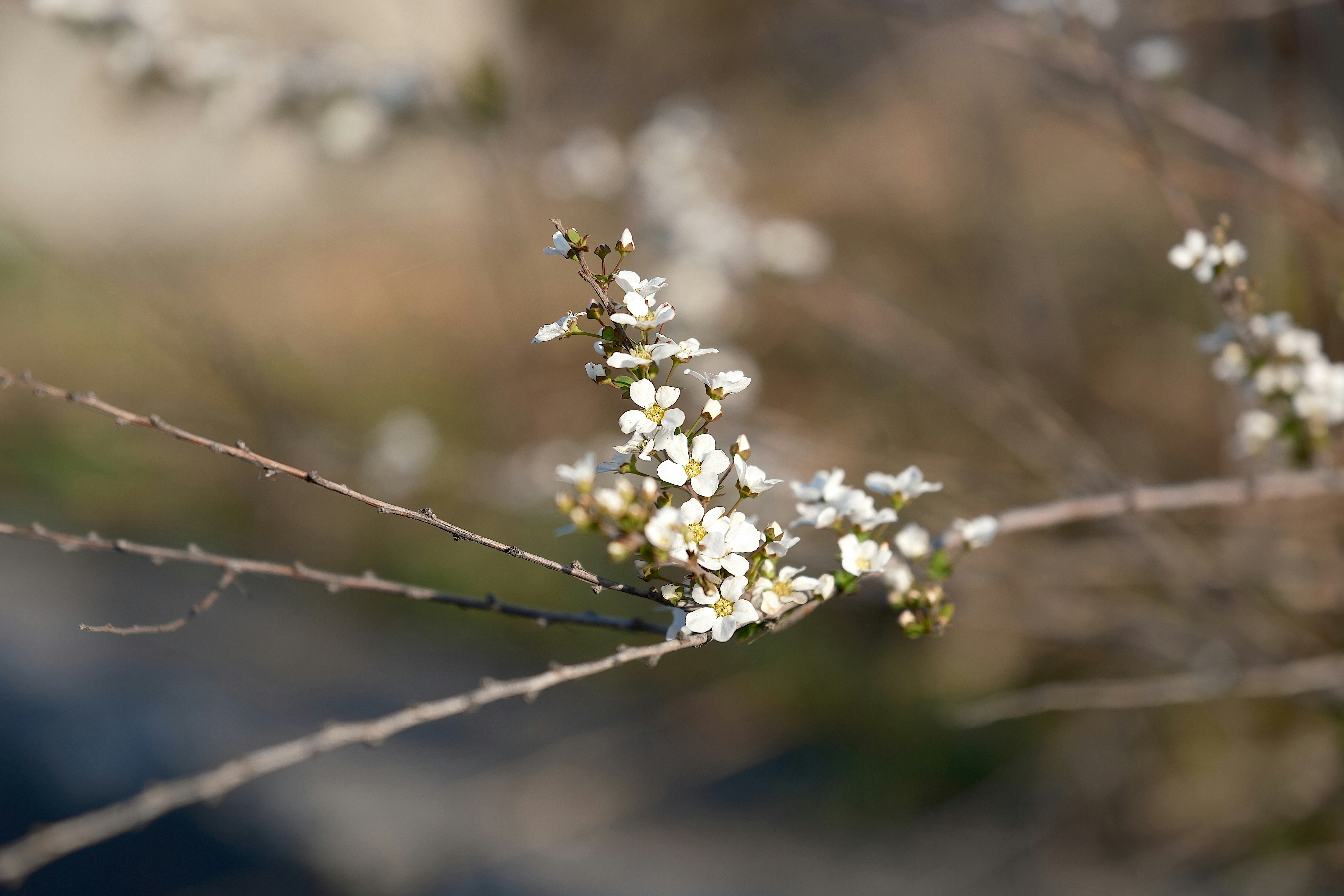 Photo by seiya_maeda