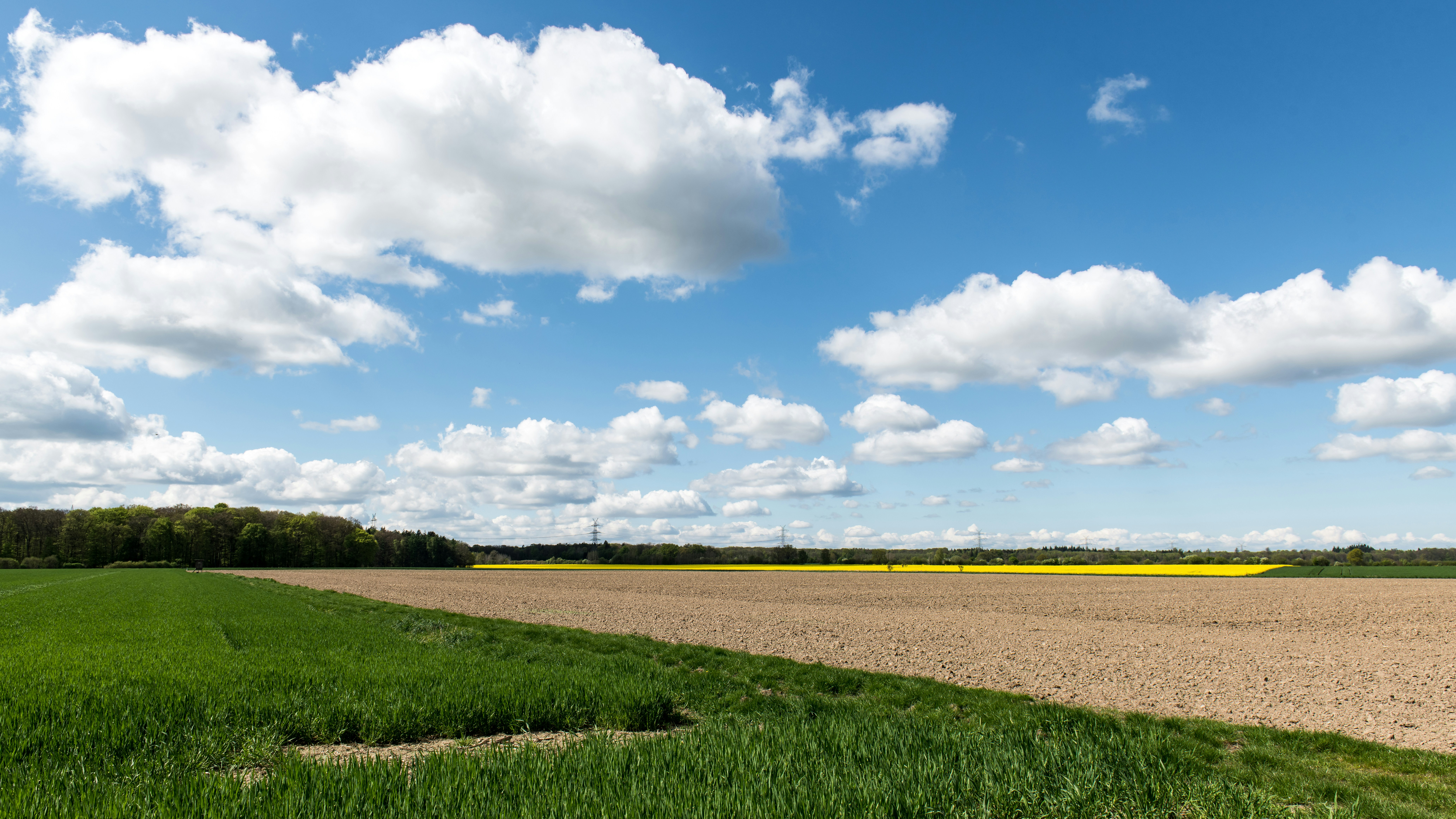 Photo by hamburgmeinefreundin