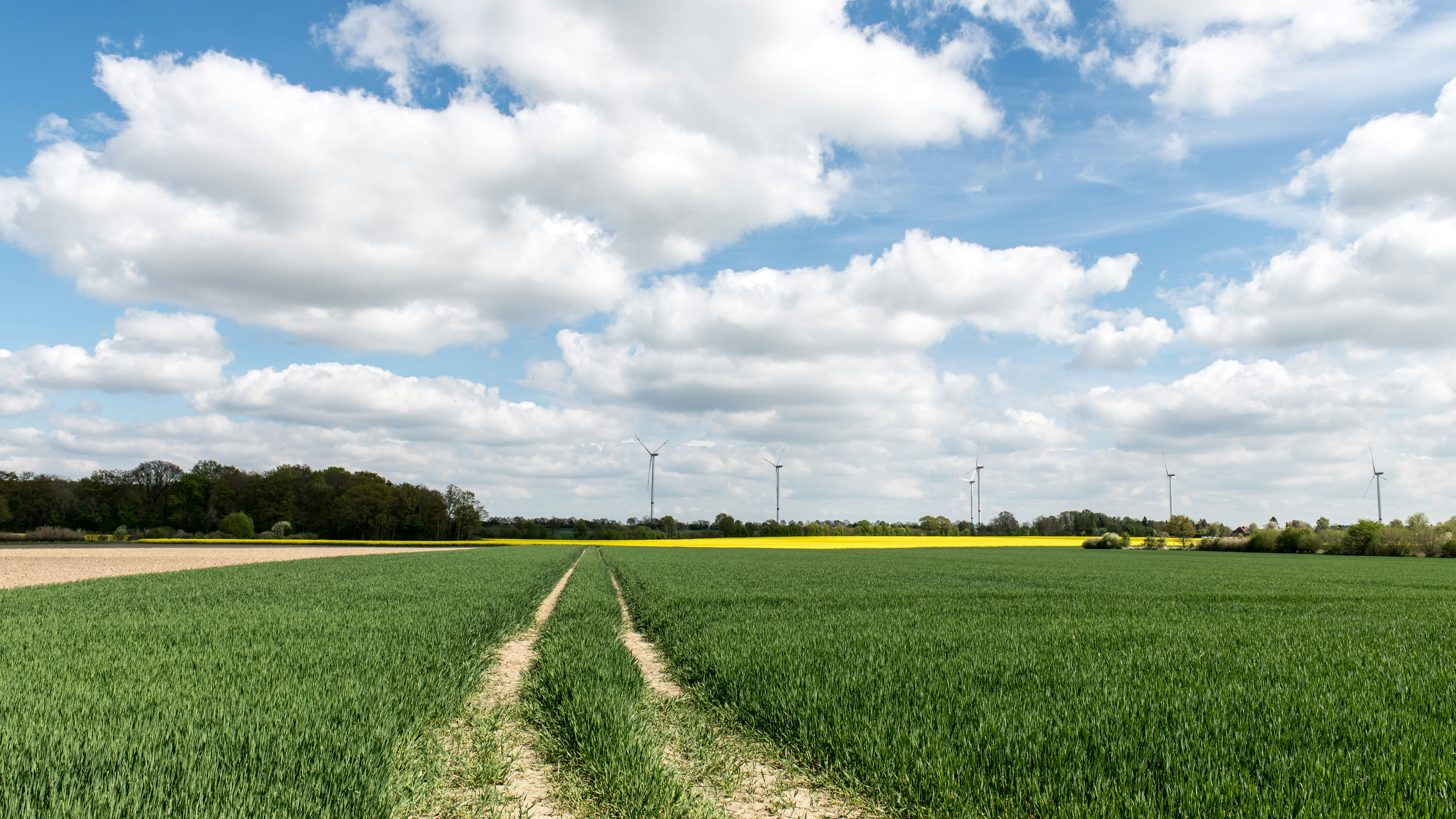 Photo by hamburgmeinefreundin