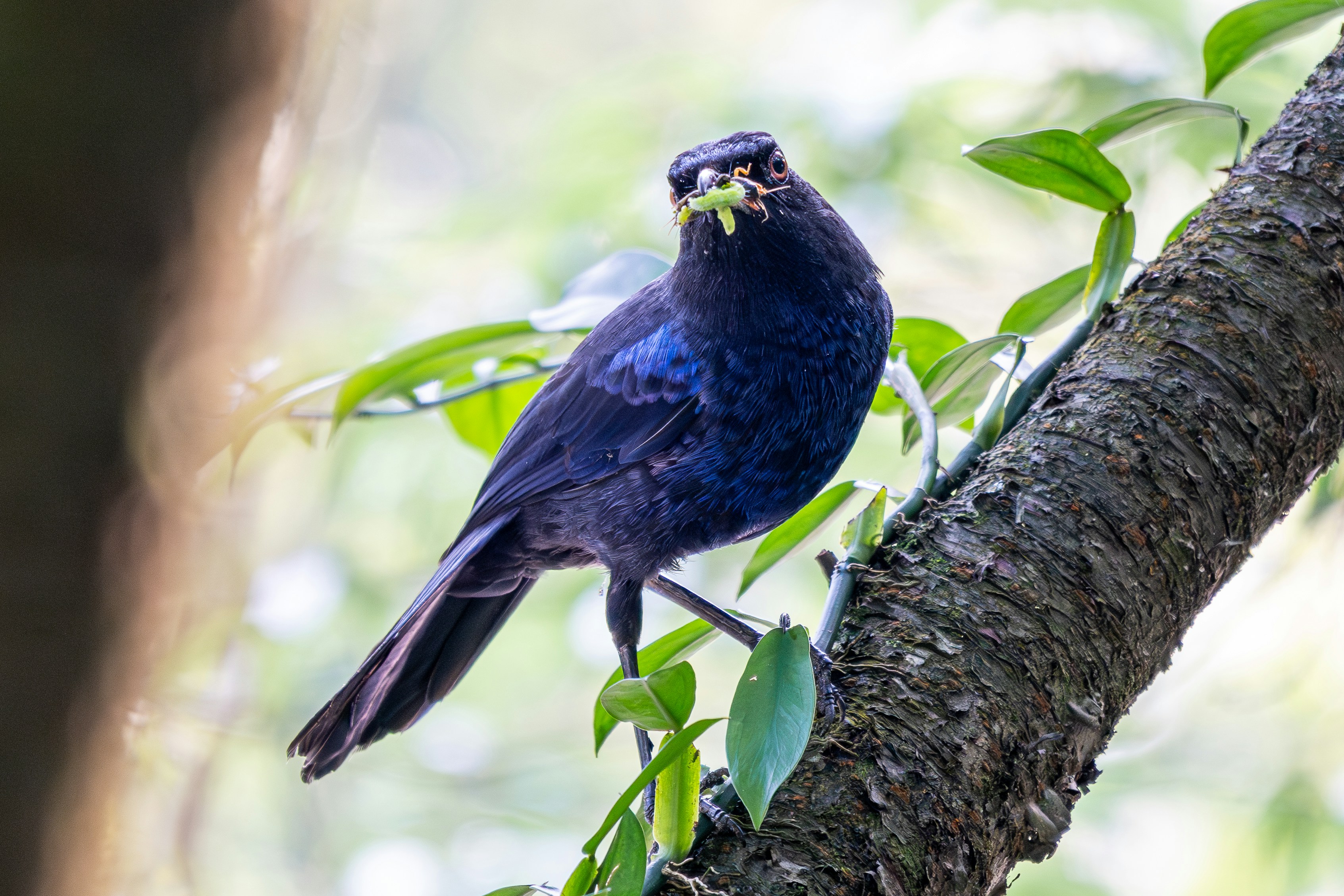 Photo by winstonchen