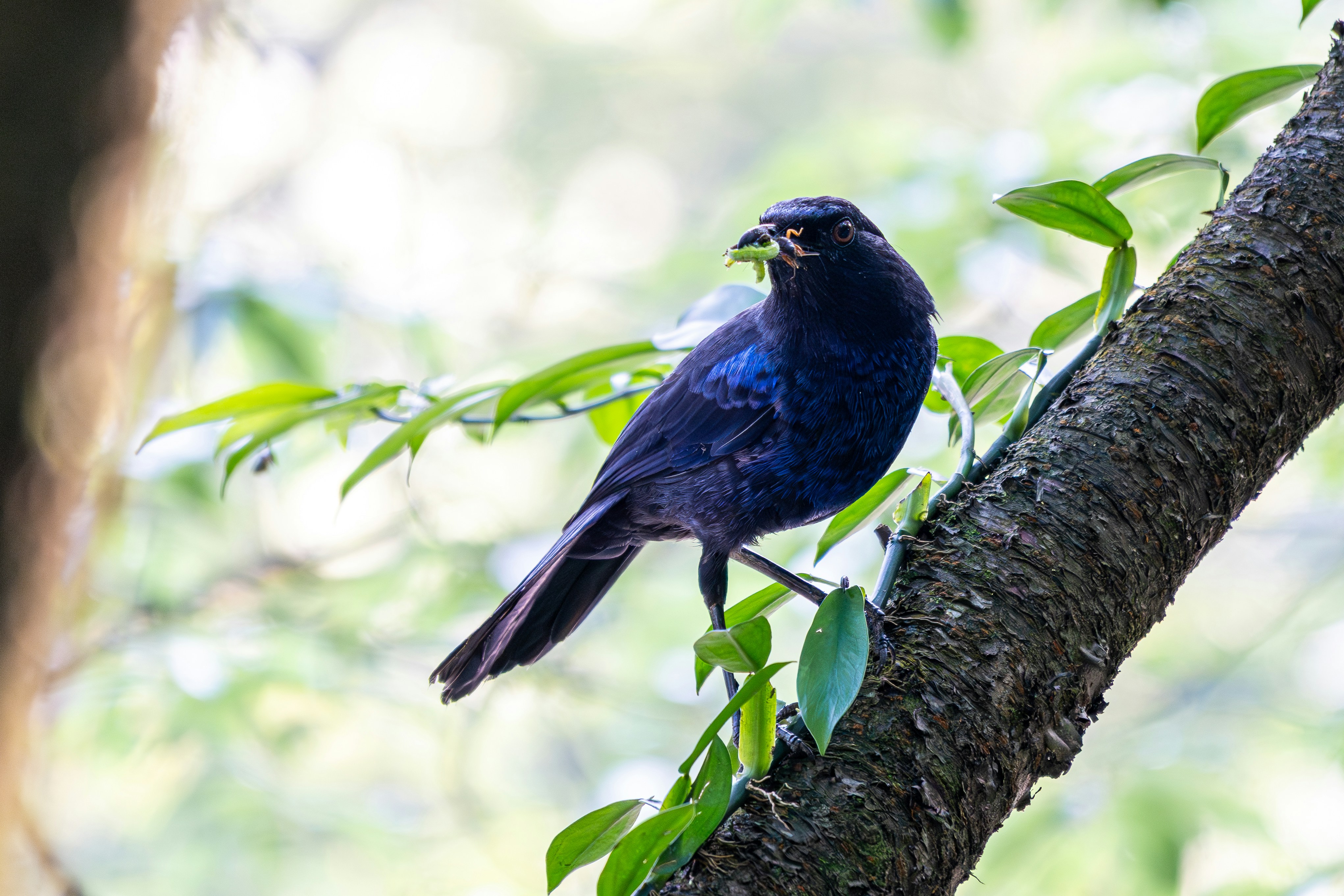 Photo by winstonchen