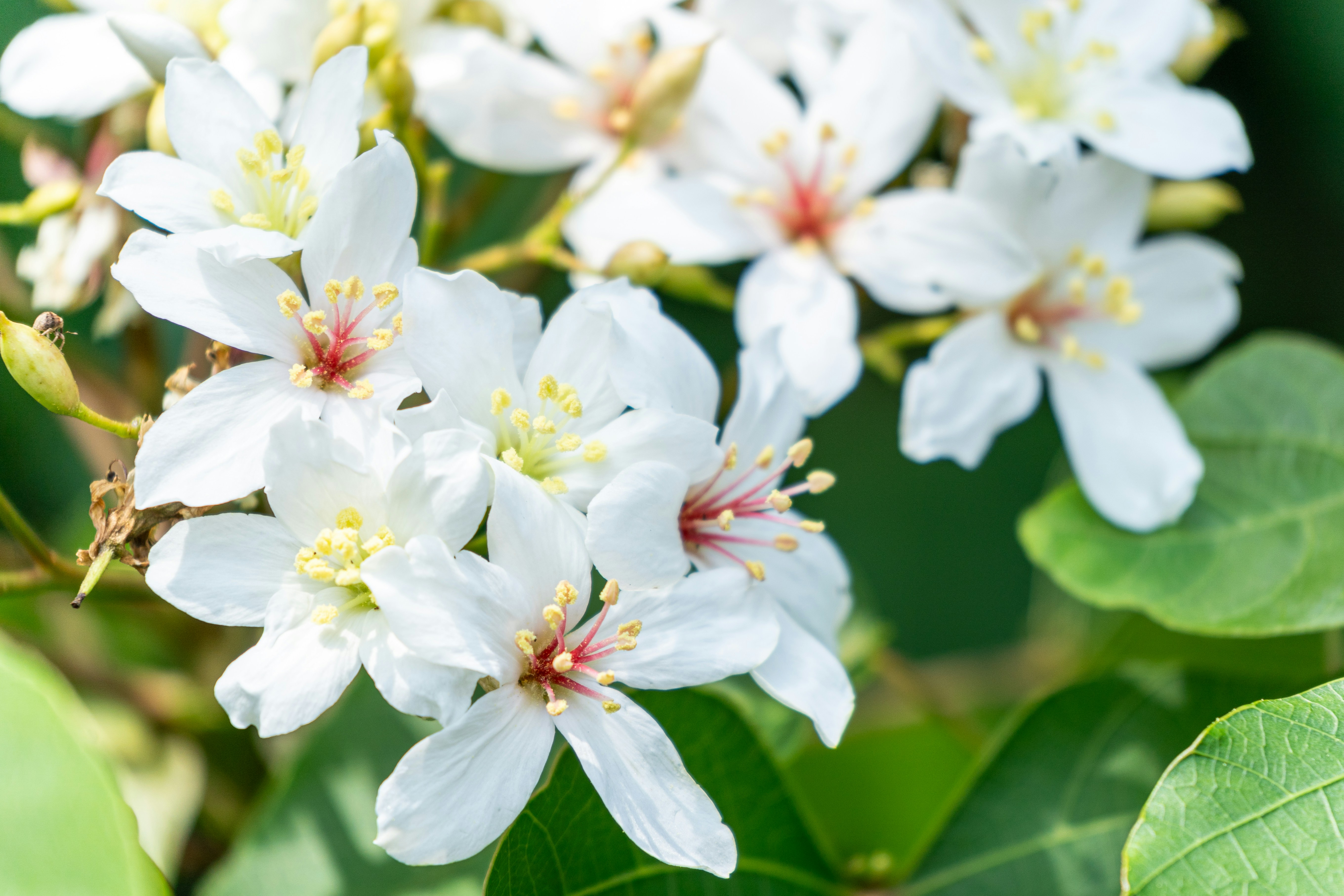 Photo by winstonchen