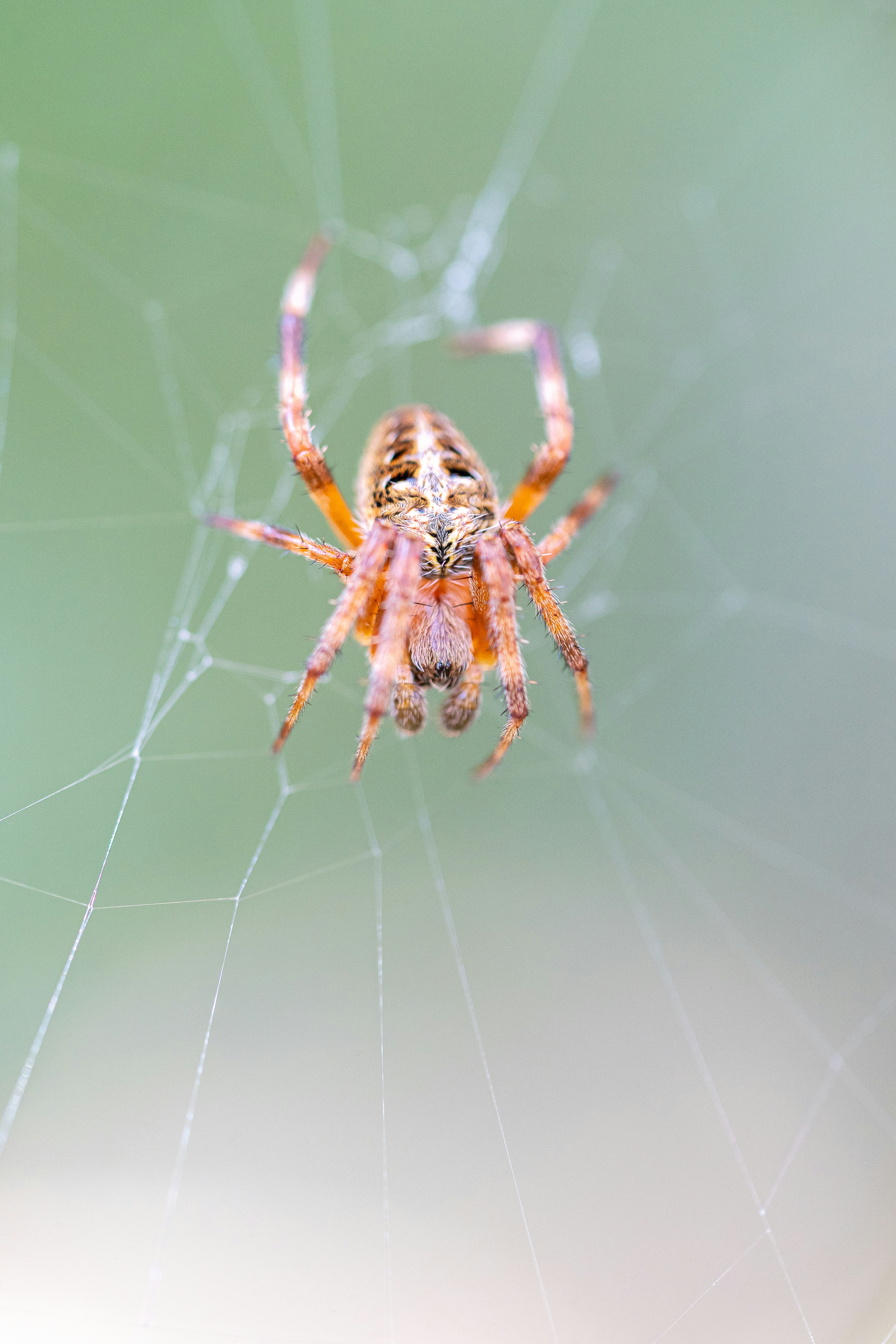 Photo by winstonchen