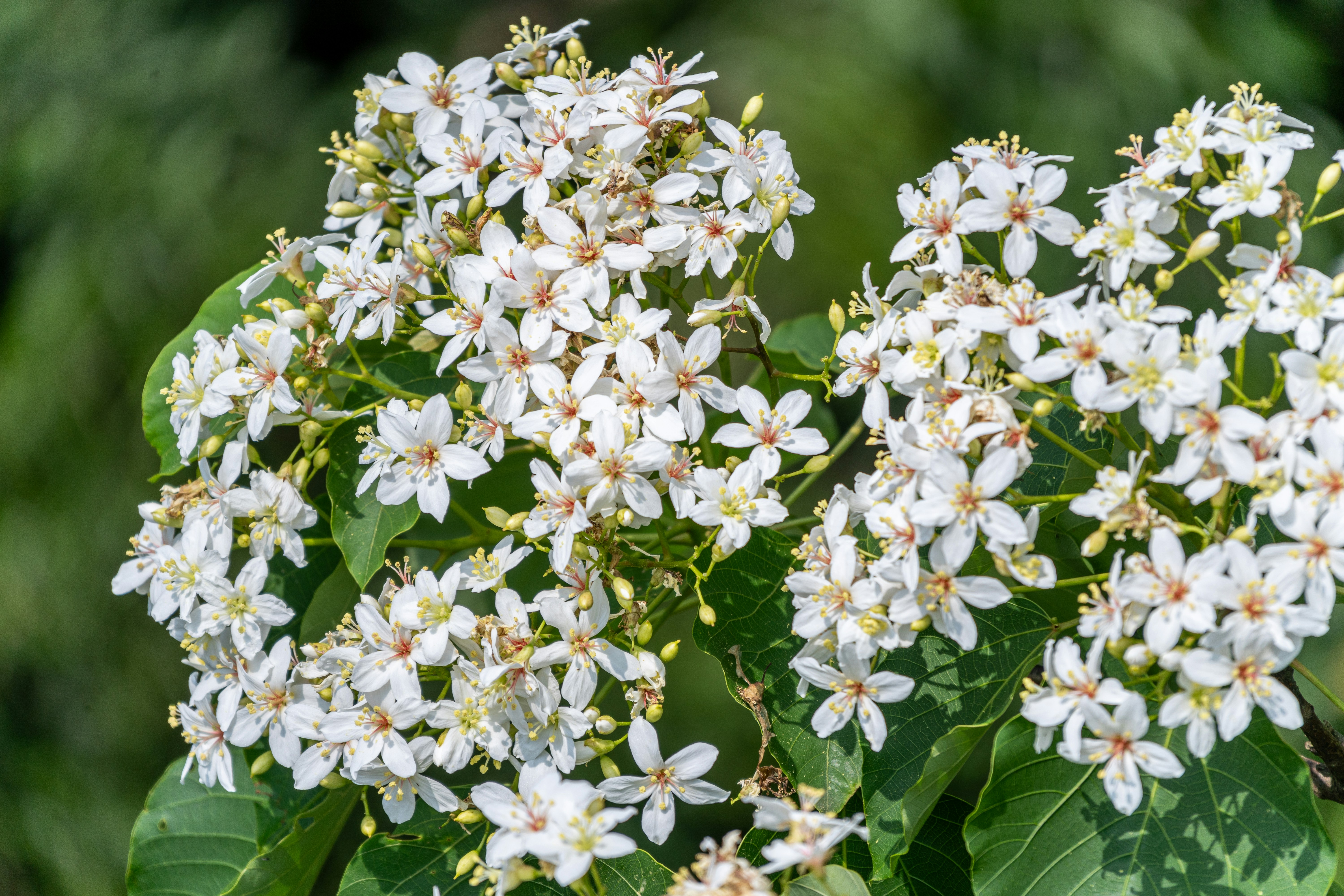 Photo by winstonchen