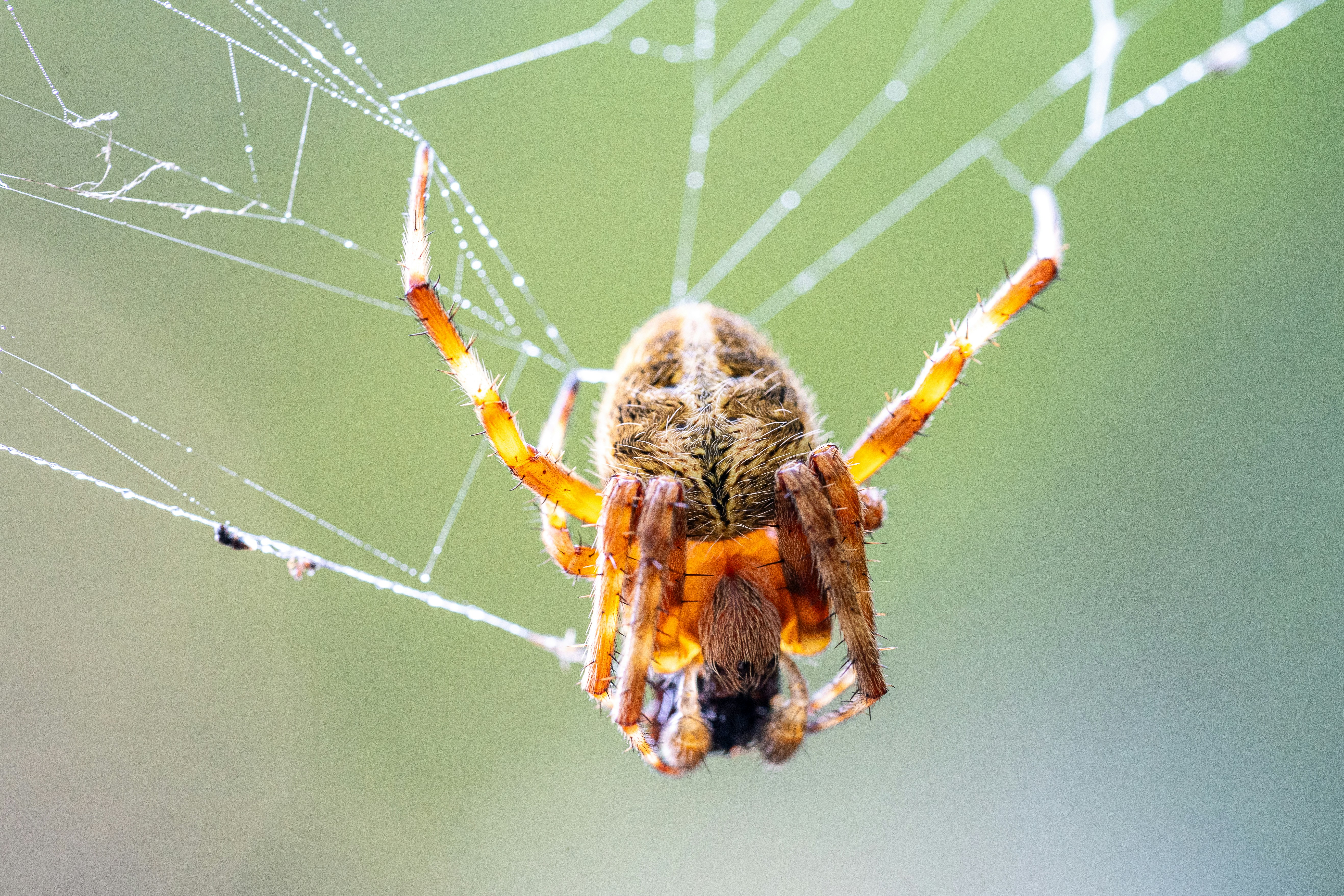 Photo by winstonchen