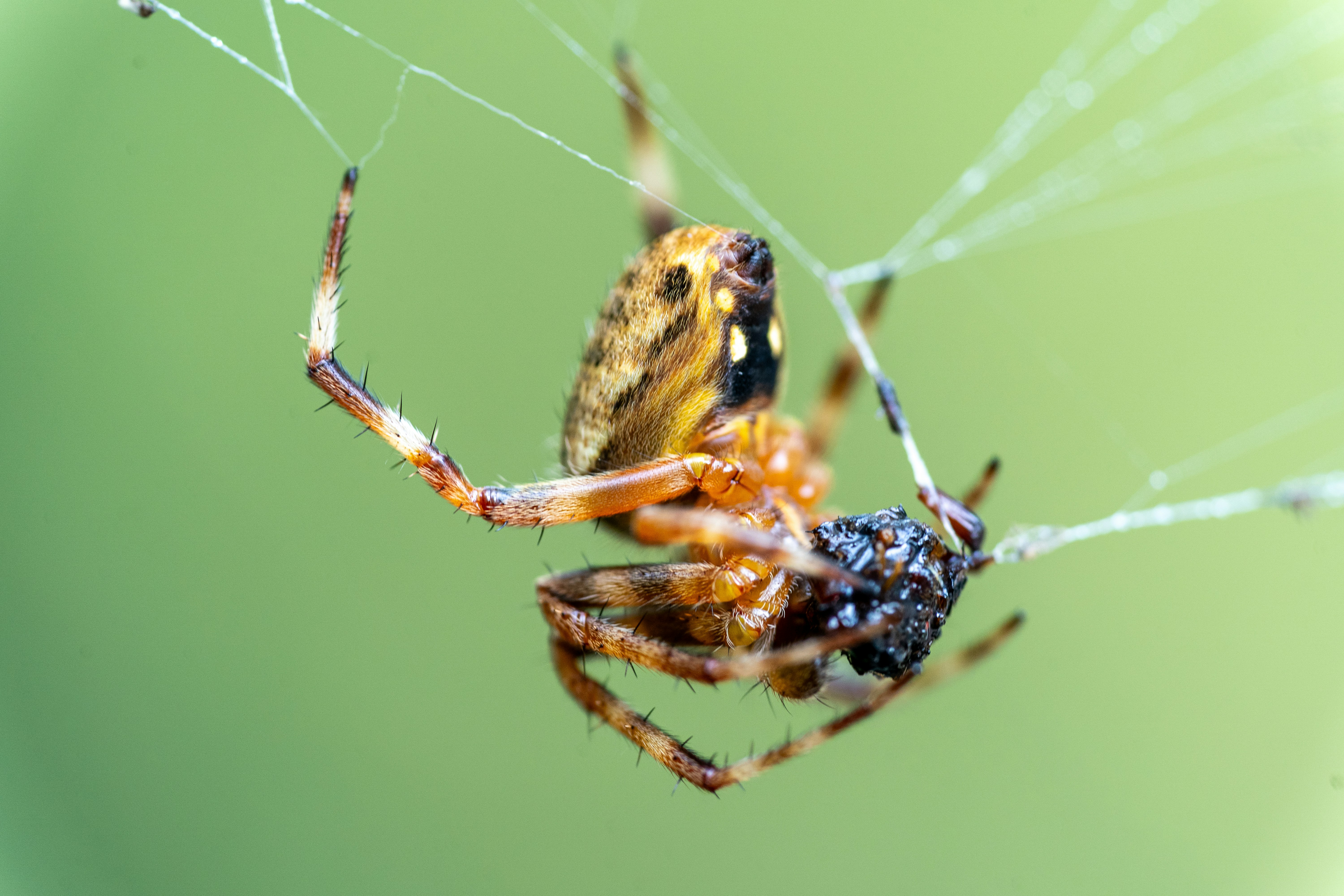 Photo by winstonchen