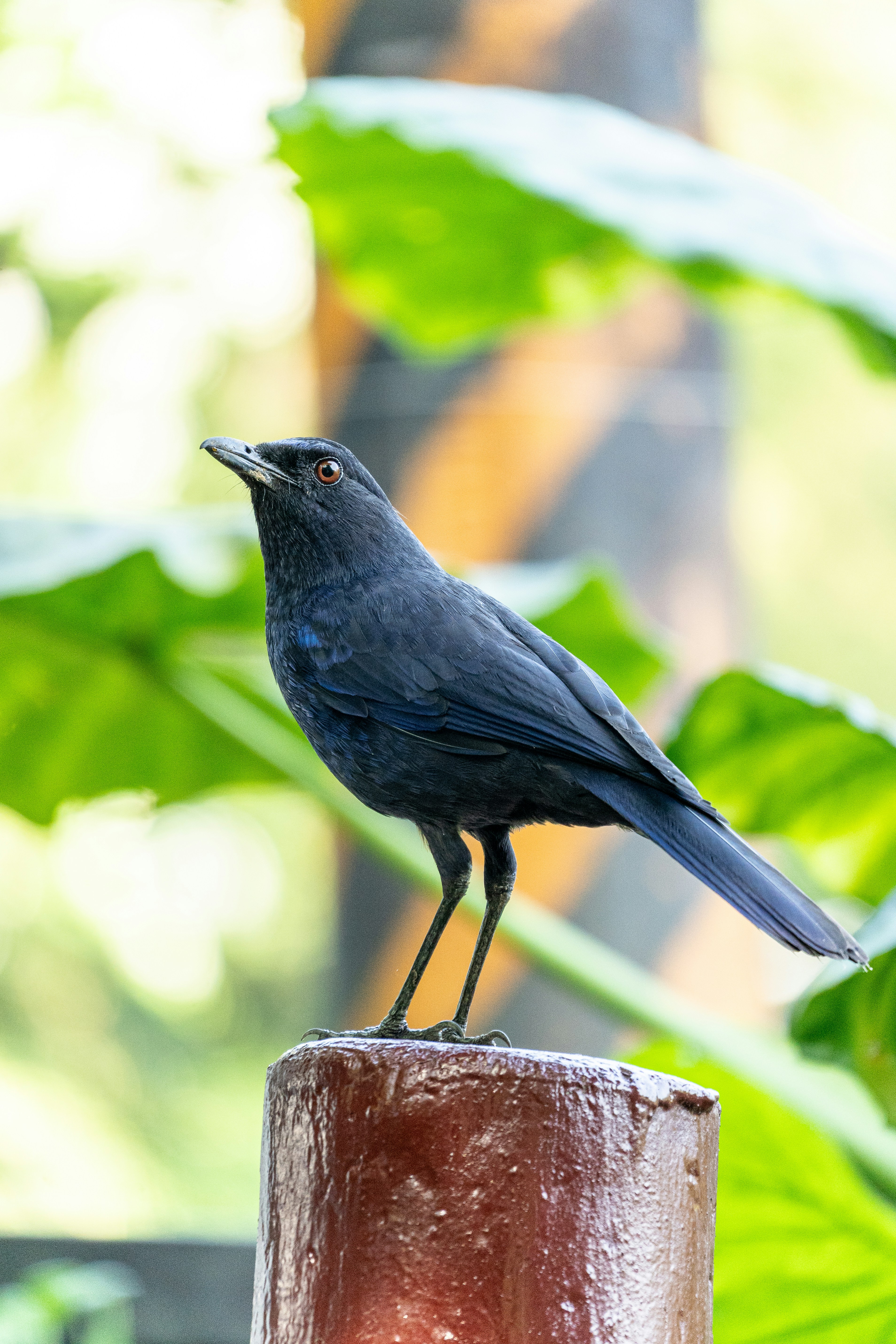 Photo by winstonchen