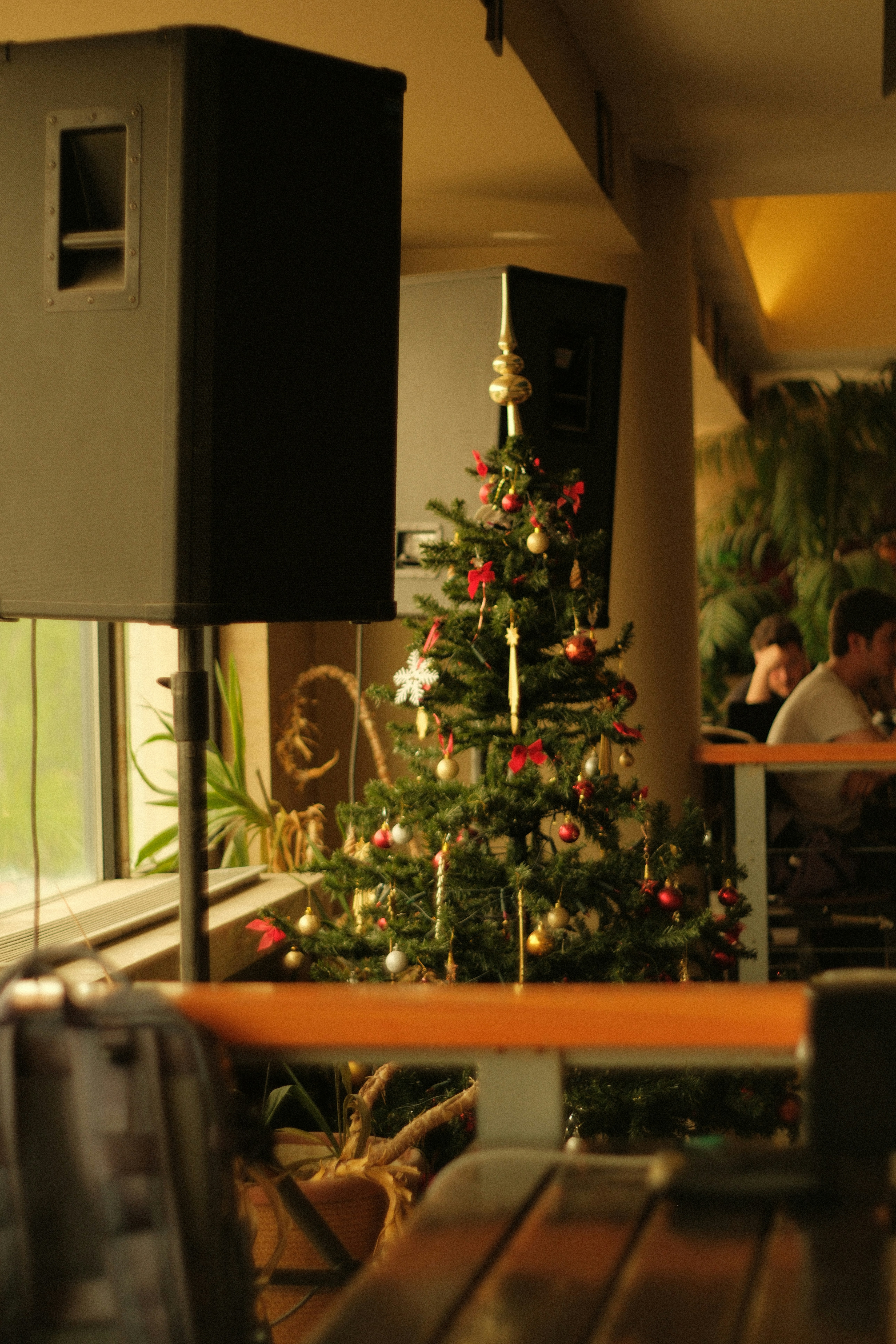Un albero di Natale decora un ambiente interno festoso.