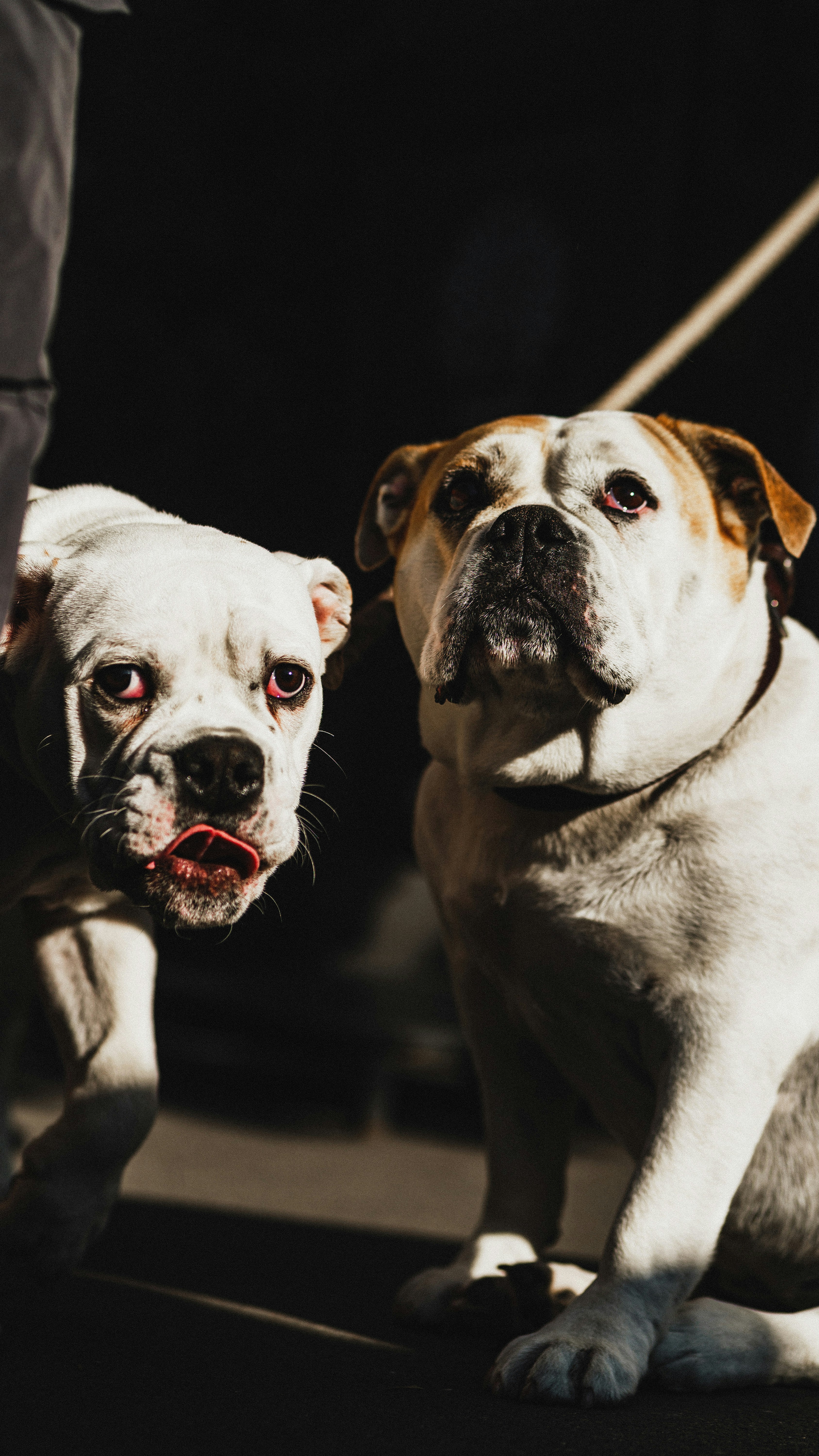 Photo by miguel_ind0