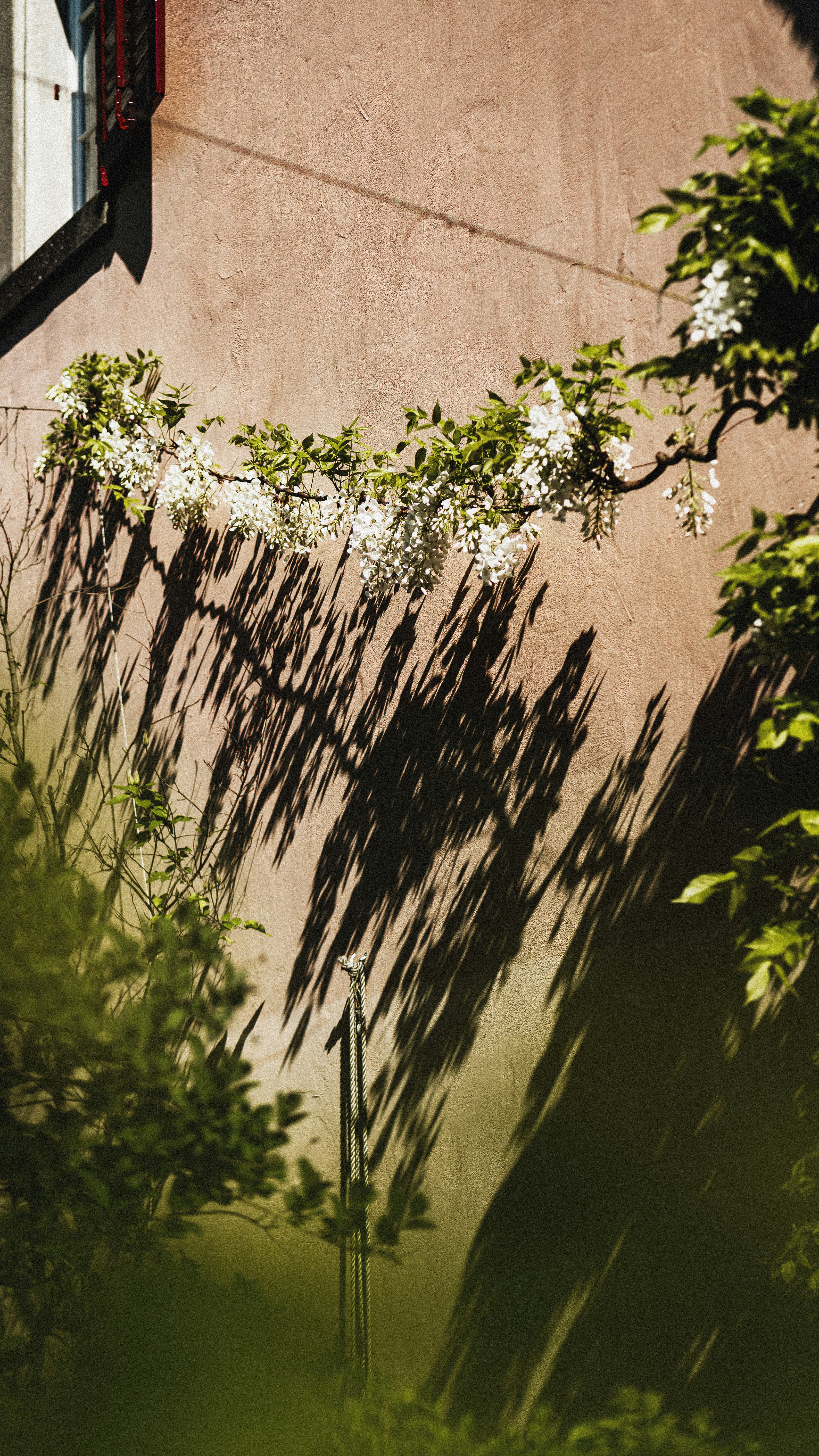 Photo by miguel_ind0