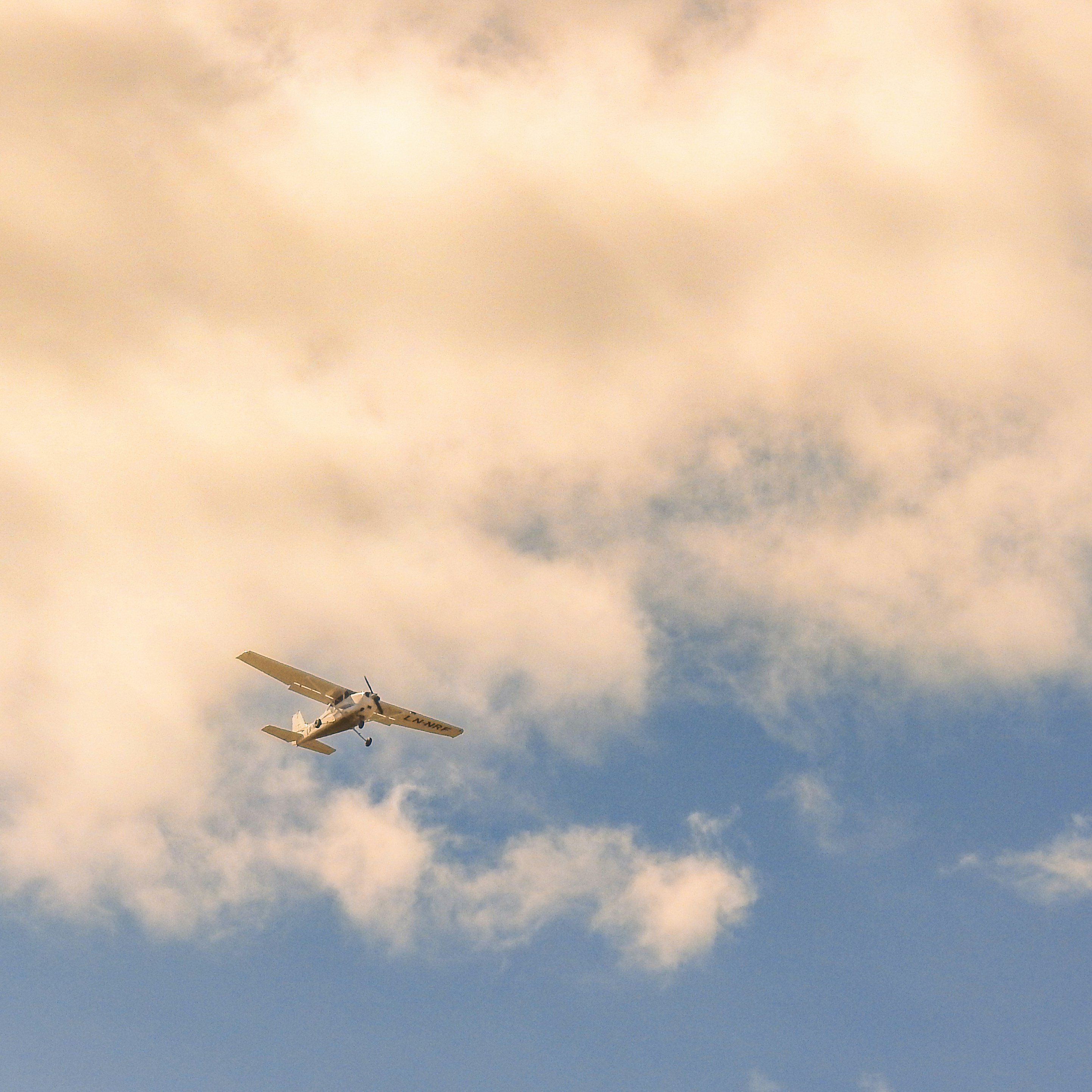 What's Your Decluttering Priority?