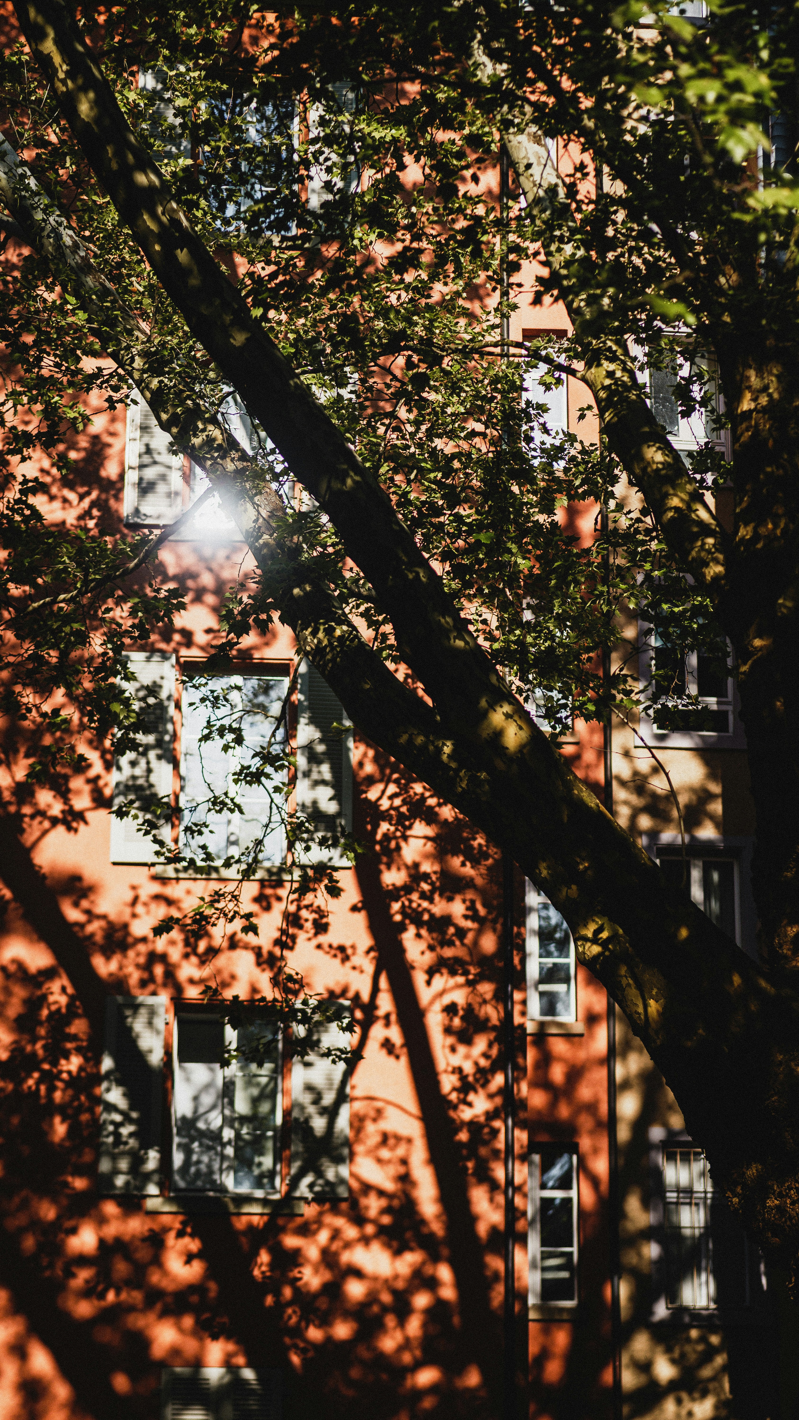 Photo by miguel_ind0