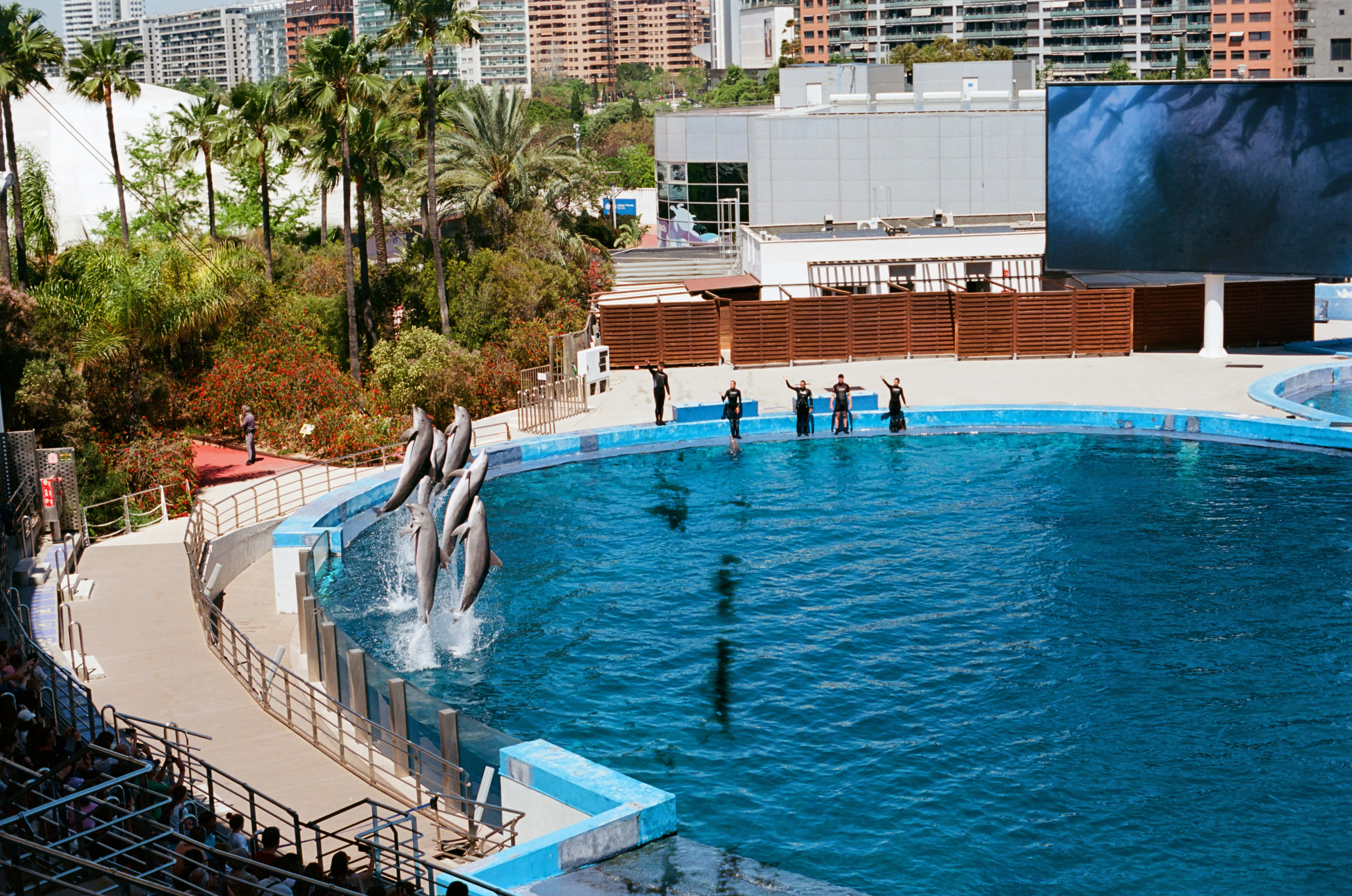 Paque de la Florida