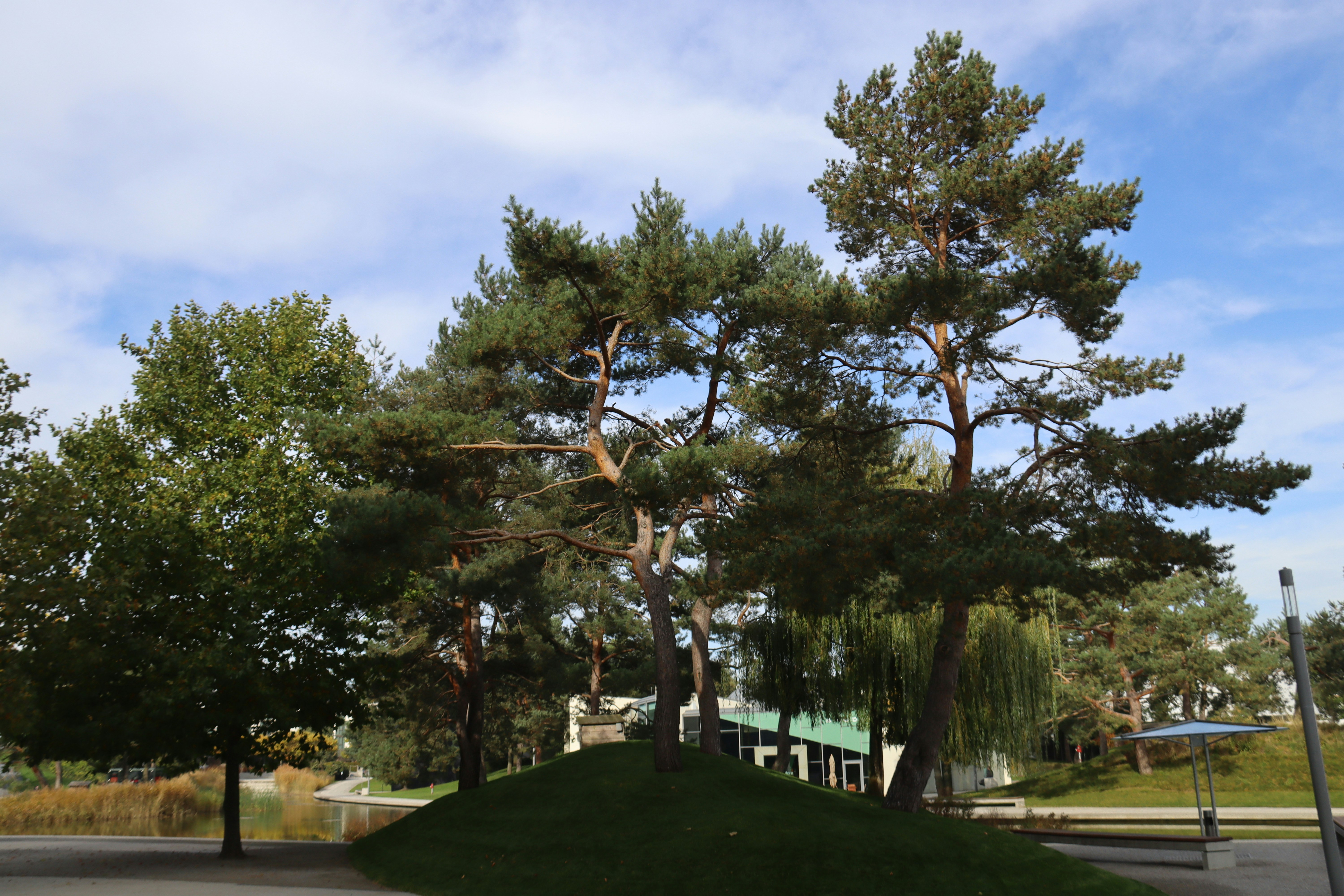 Photo by shalevcohen