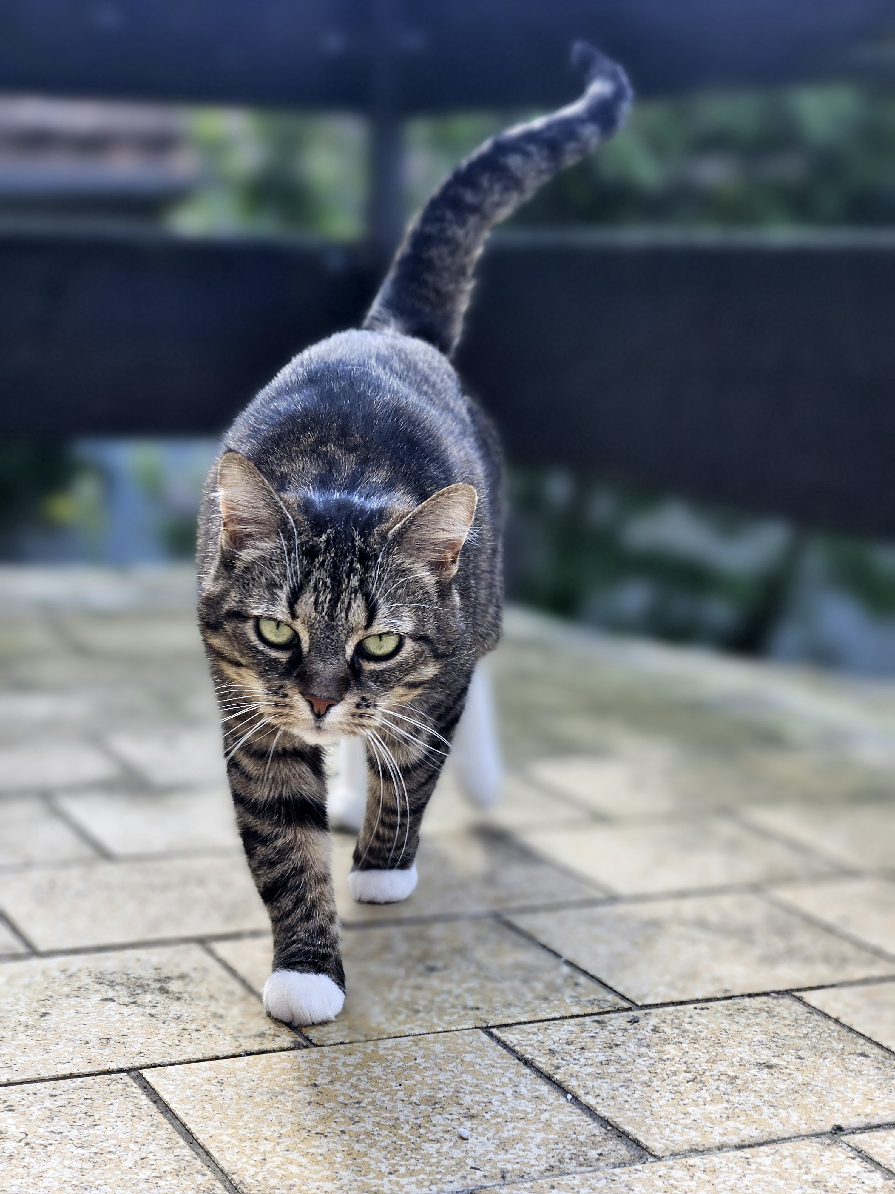 Photo by marjorylucabaxter