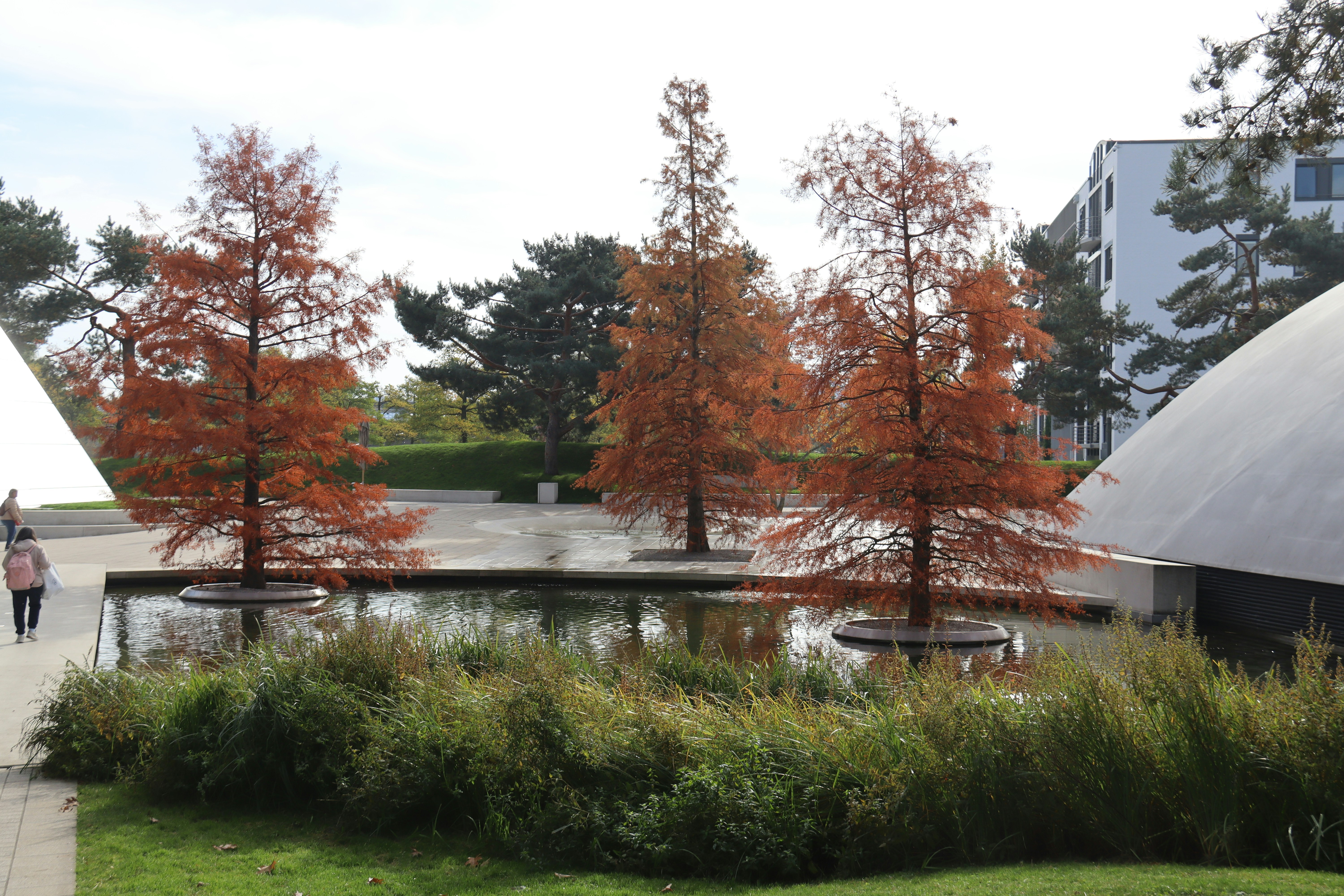 Photo by shalevcohen