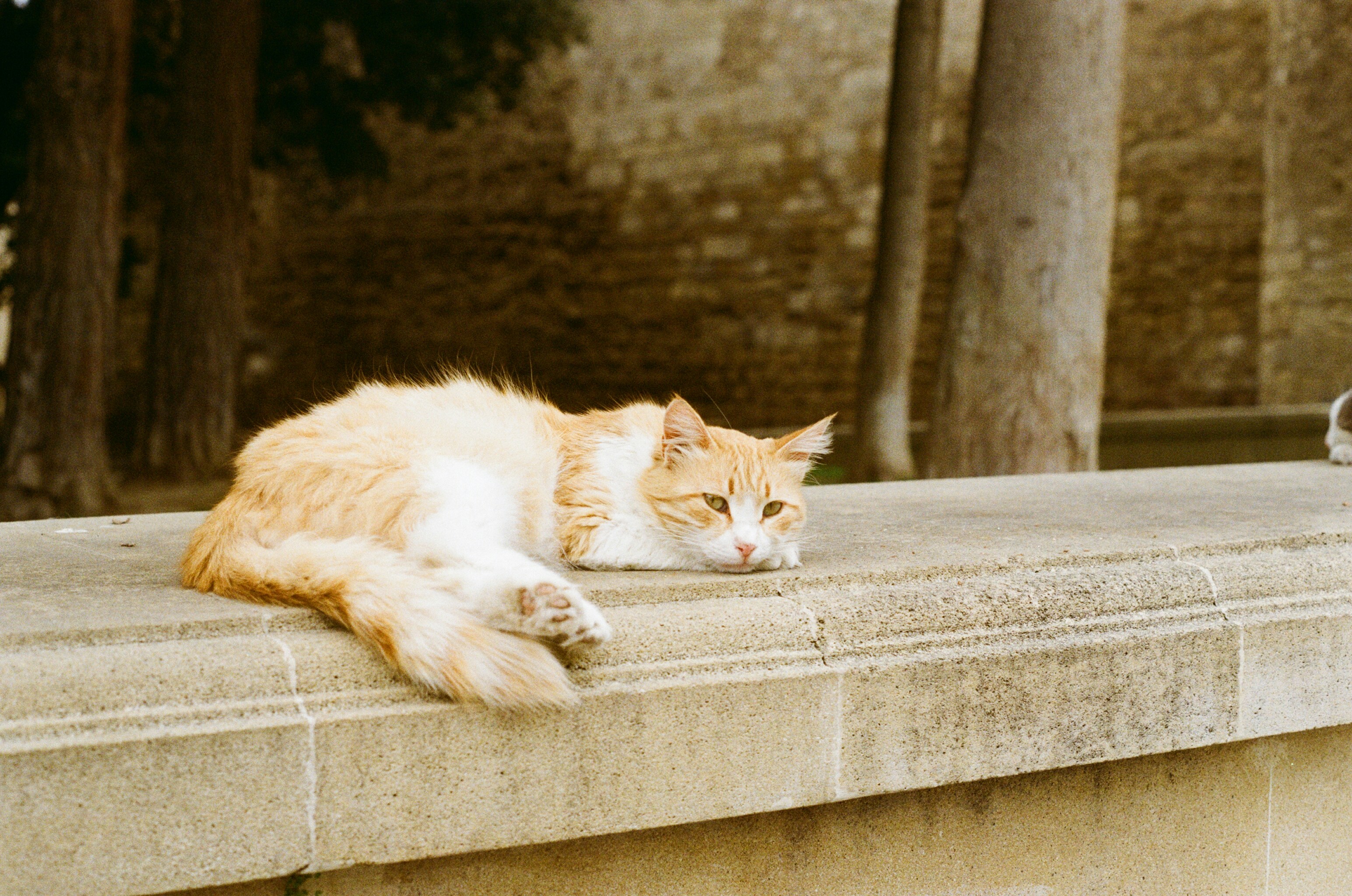 Photo by mountaincharlie