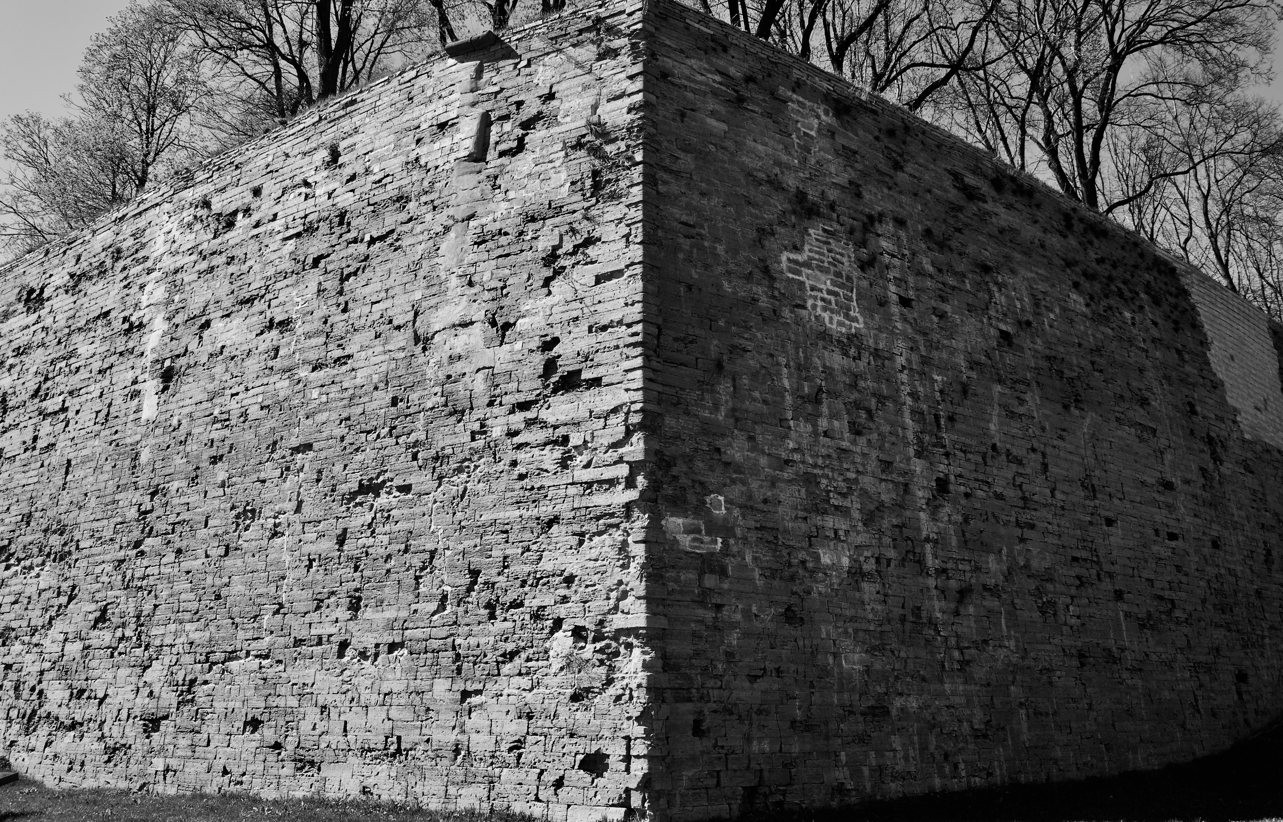 Photo by alexanderphotography